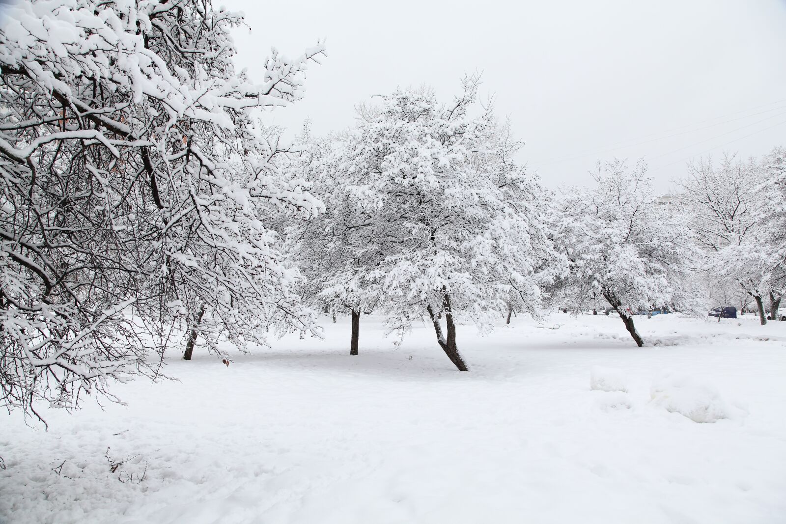 Canon EOS 5D Mark II sample photo. Russian winter, white snow photography
