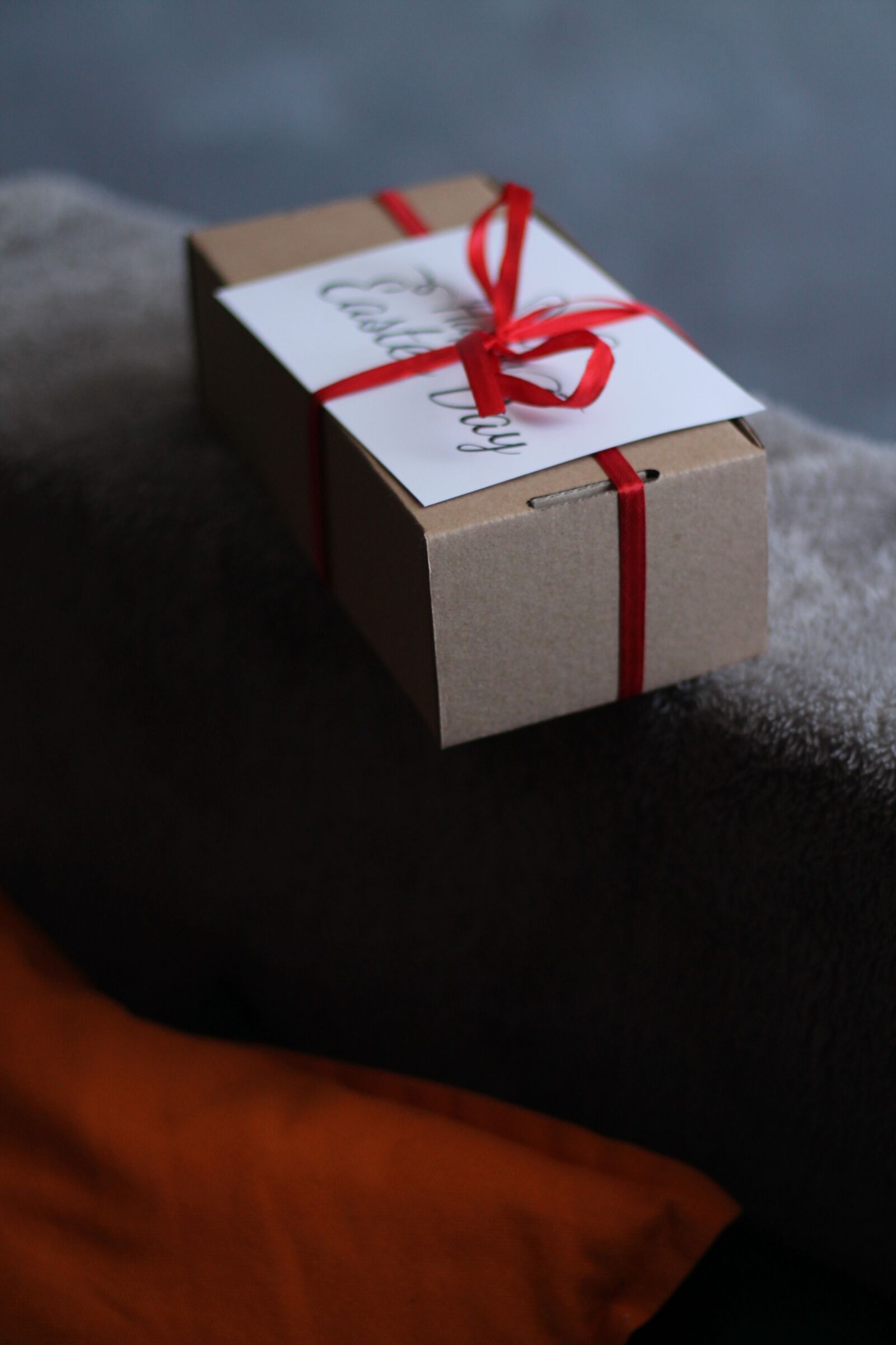 Canon EOS 1100D (EOS Rebel T3 / EOS Kiss X50) + Canon EF 50mm F1.8 STM sample photo. Box, surprise, gift photography