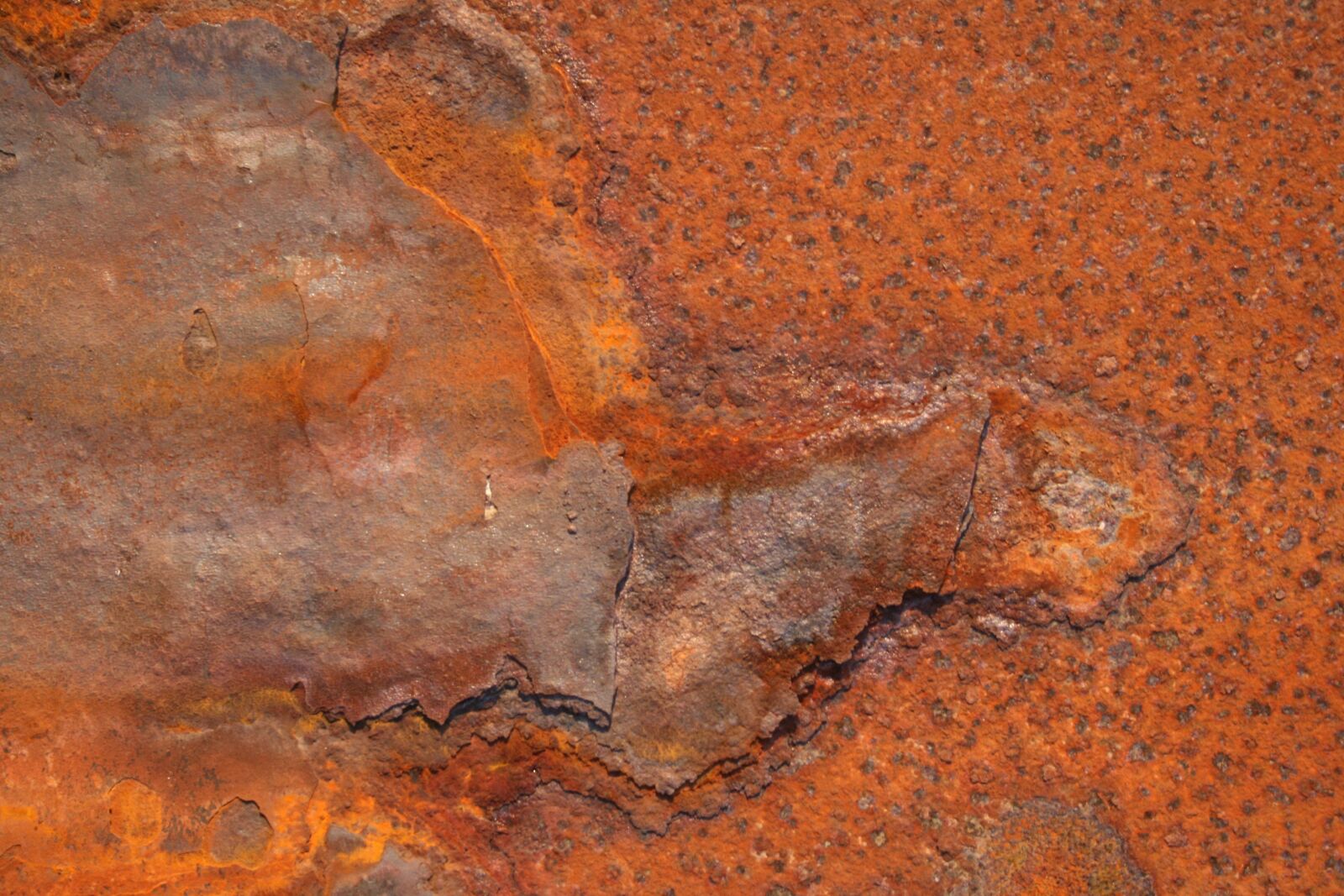 Canon EOS 400D (EOS Digital Rebel XTi / EOS Kiss Digital X) sample photo. Rust, metal, rusted photography