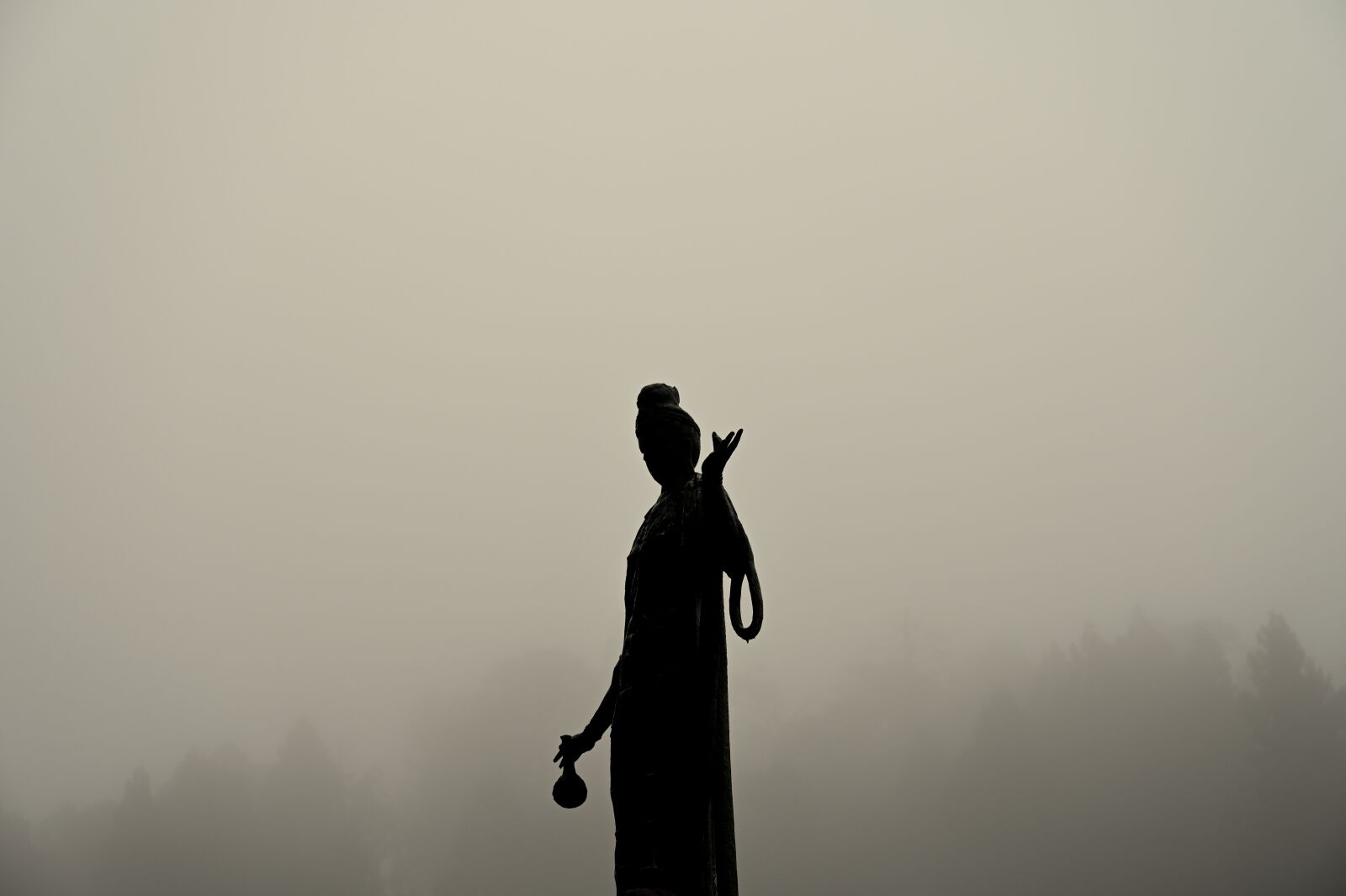 Nikon Nikkor Z 24-70mm F2.8 S sample photo. Fog, buddha statue, world photography