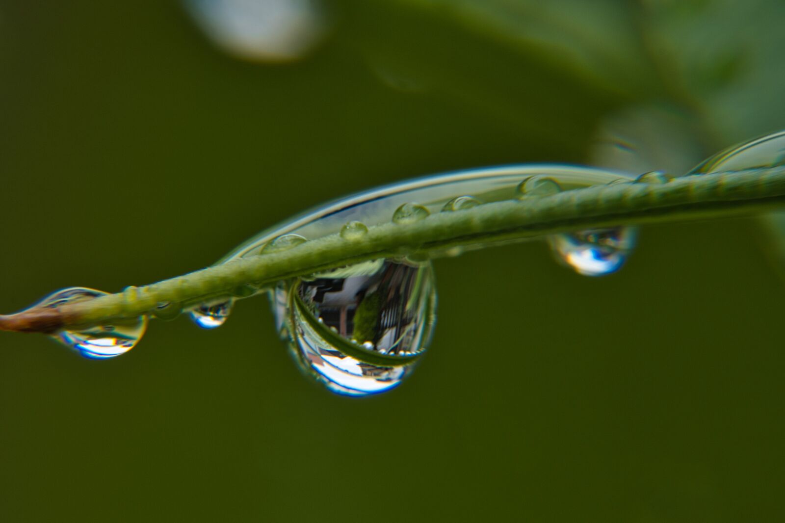 Sony a6400 sample photo. Rain, raindrop, drop of photography