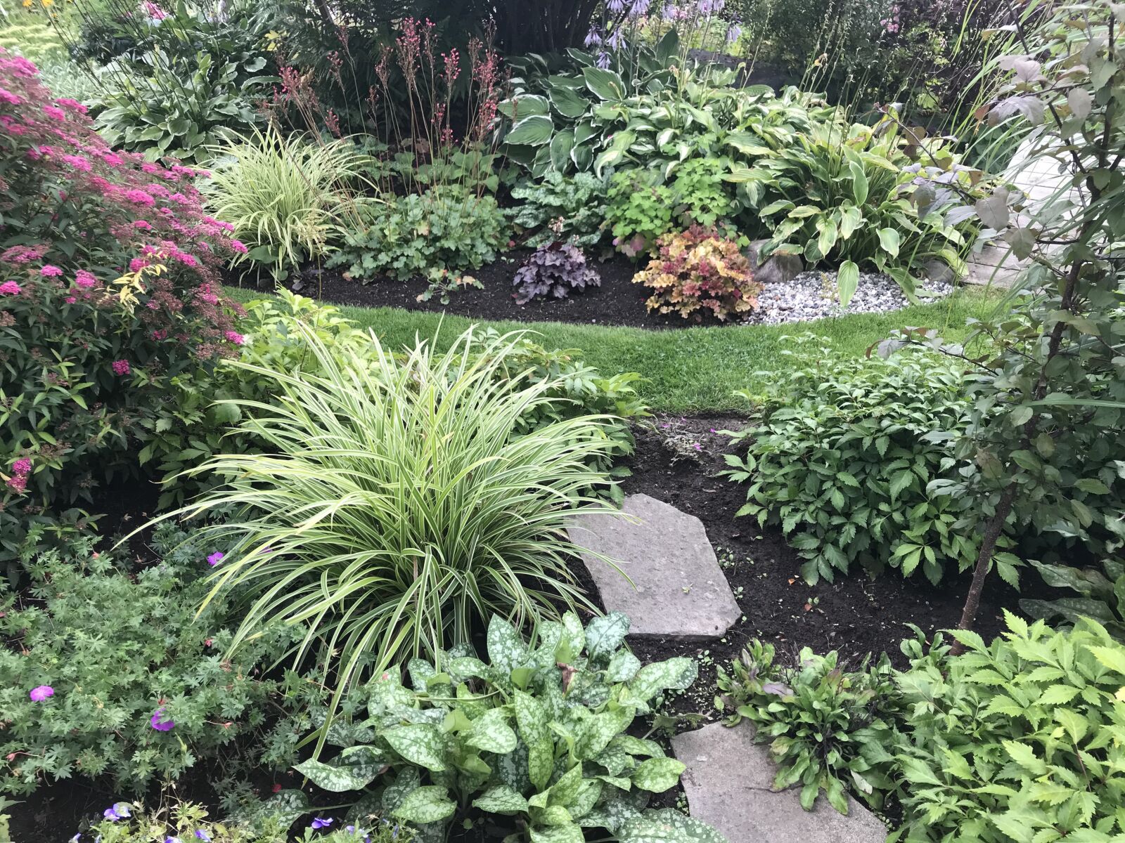 iPhone 7 back camera 3.99mm f/1.8 sample photo. Garden, pond, bloom photography