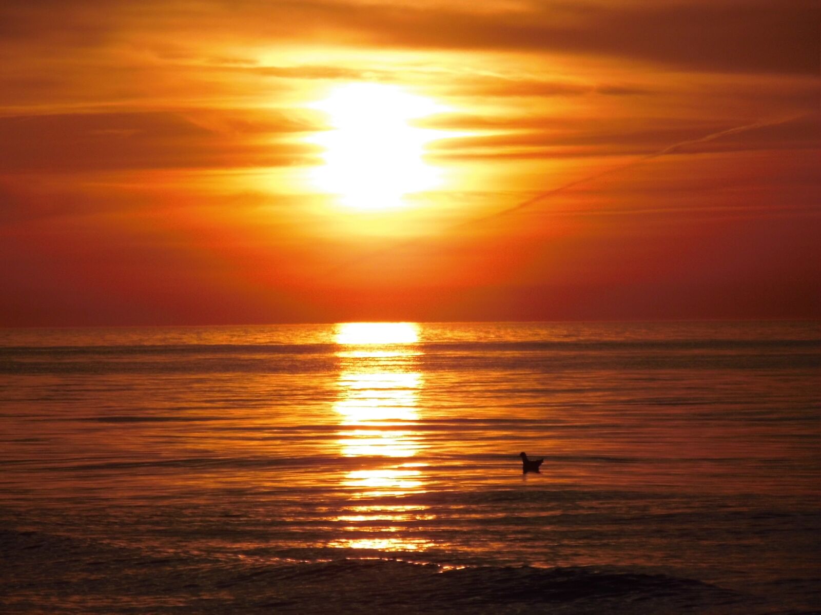 MEDION MD86827 sample photo. Sunset, sun, sea photography