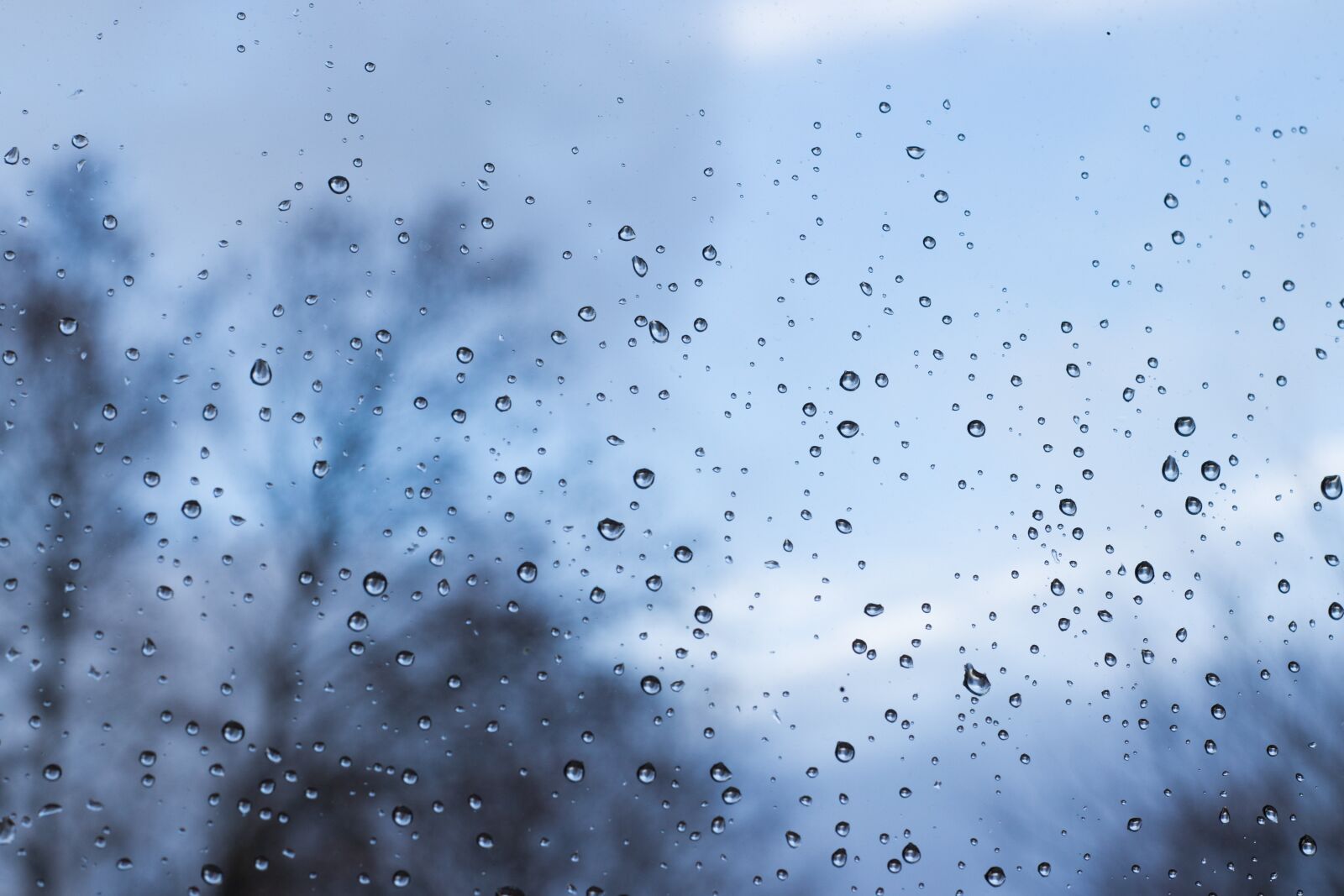 Canon EOS 200D (EOS Rebel SL2 / EOS Kiss X9) sample photo. Raindrop, window, wet photography