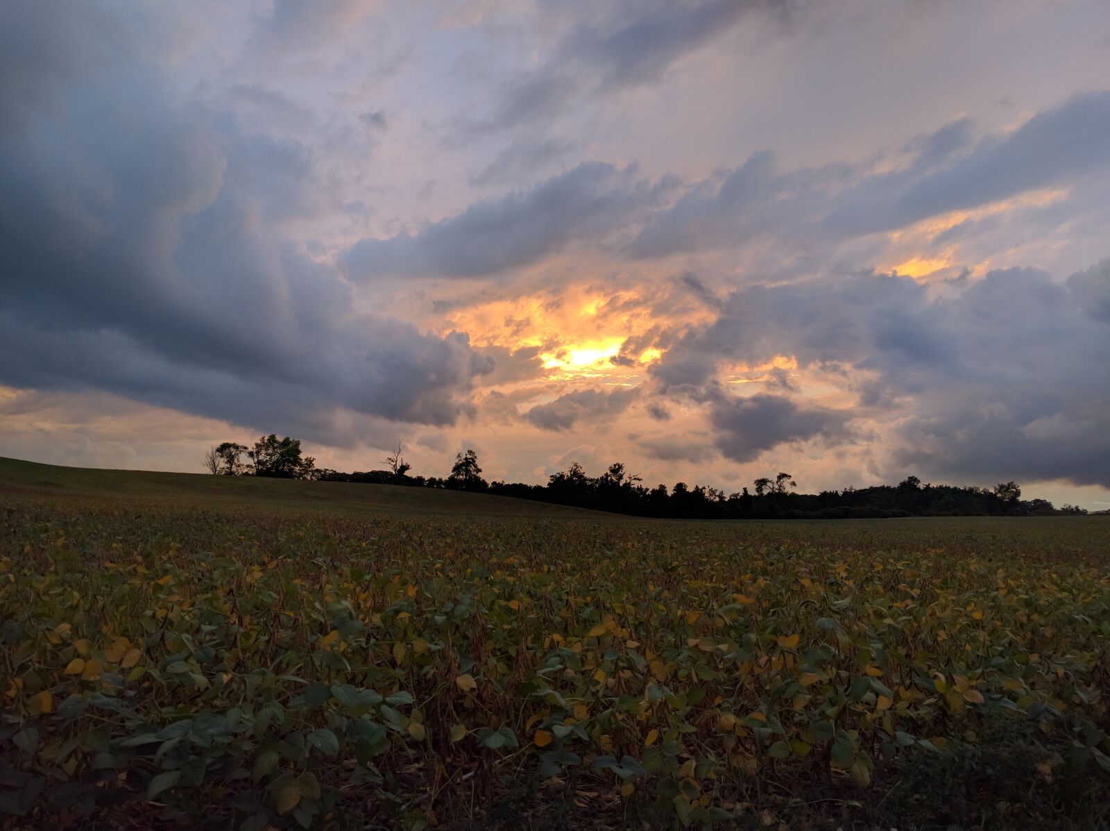 Google Nexus 6P sample photo. Landscape, nature, outdoor photography