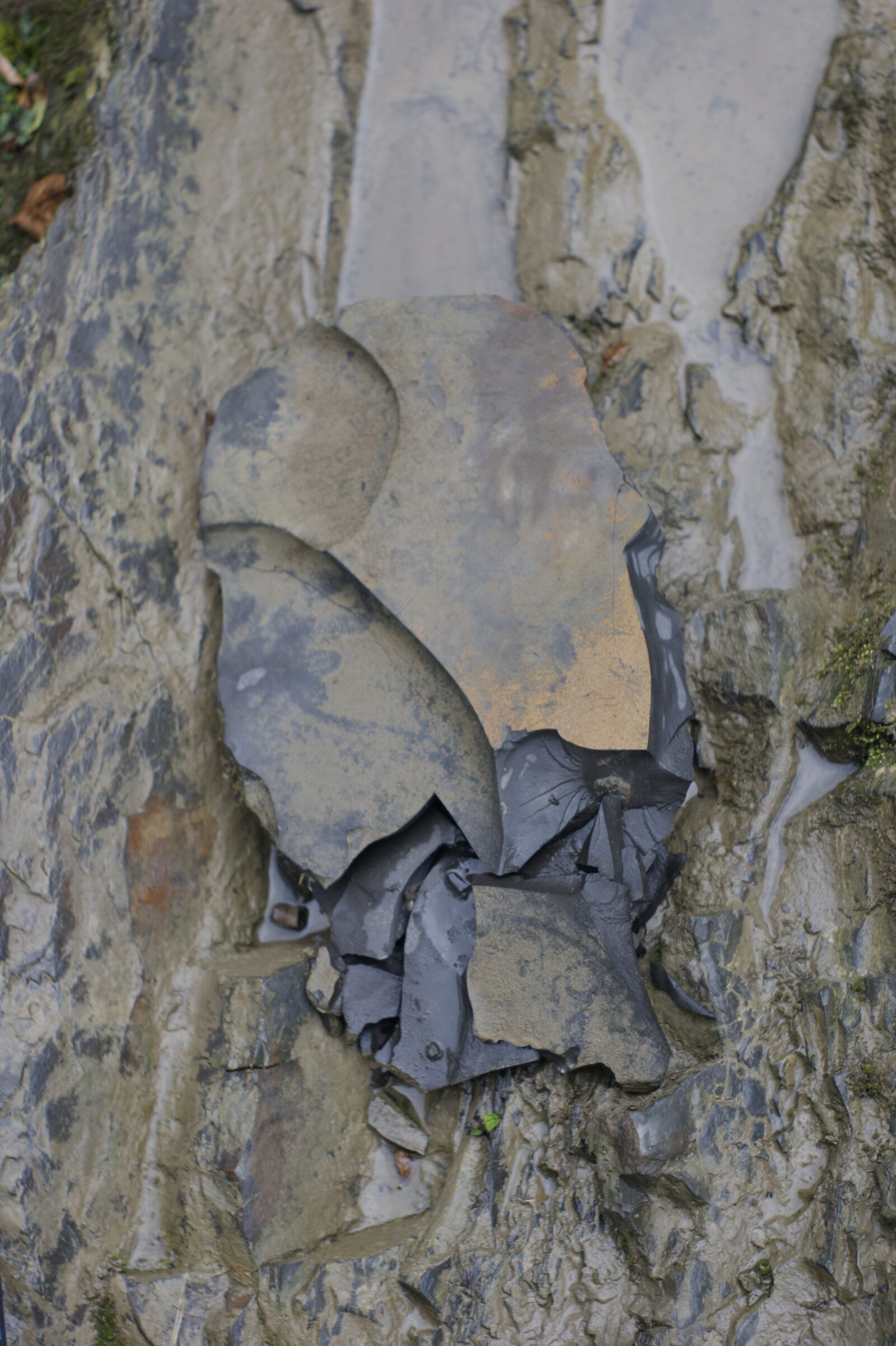 Sony Alpha DSLR-A290 sample photo. Stones, shales, quartzite photography