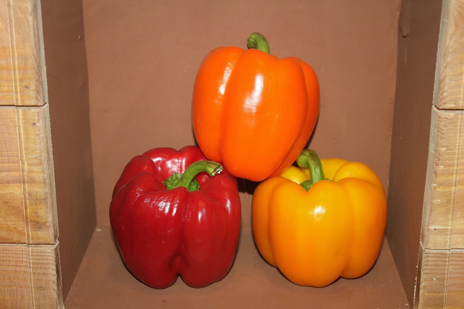 Canon EOS 500D (EOS Rebel T1i / EOS Kiss X3) sample photo. Pepper, red, yellow photography