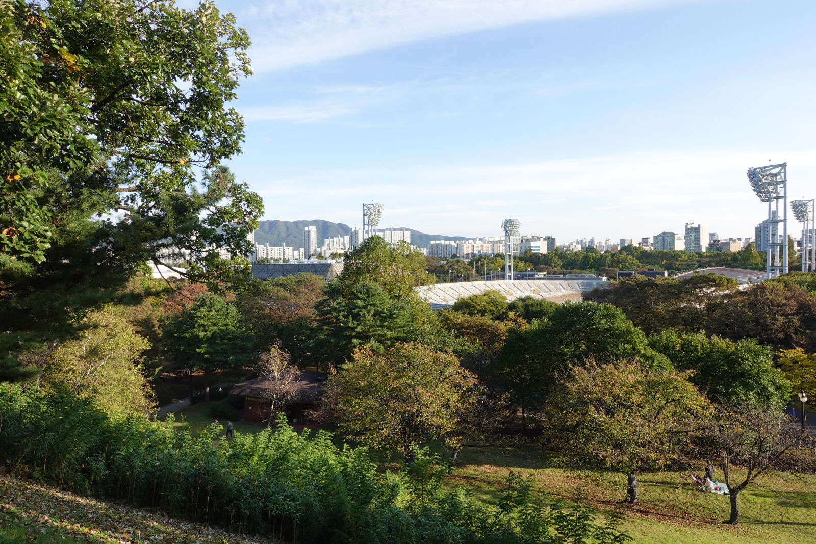 Sony ZV-1 sample photo