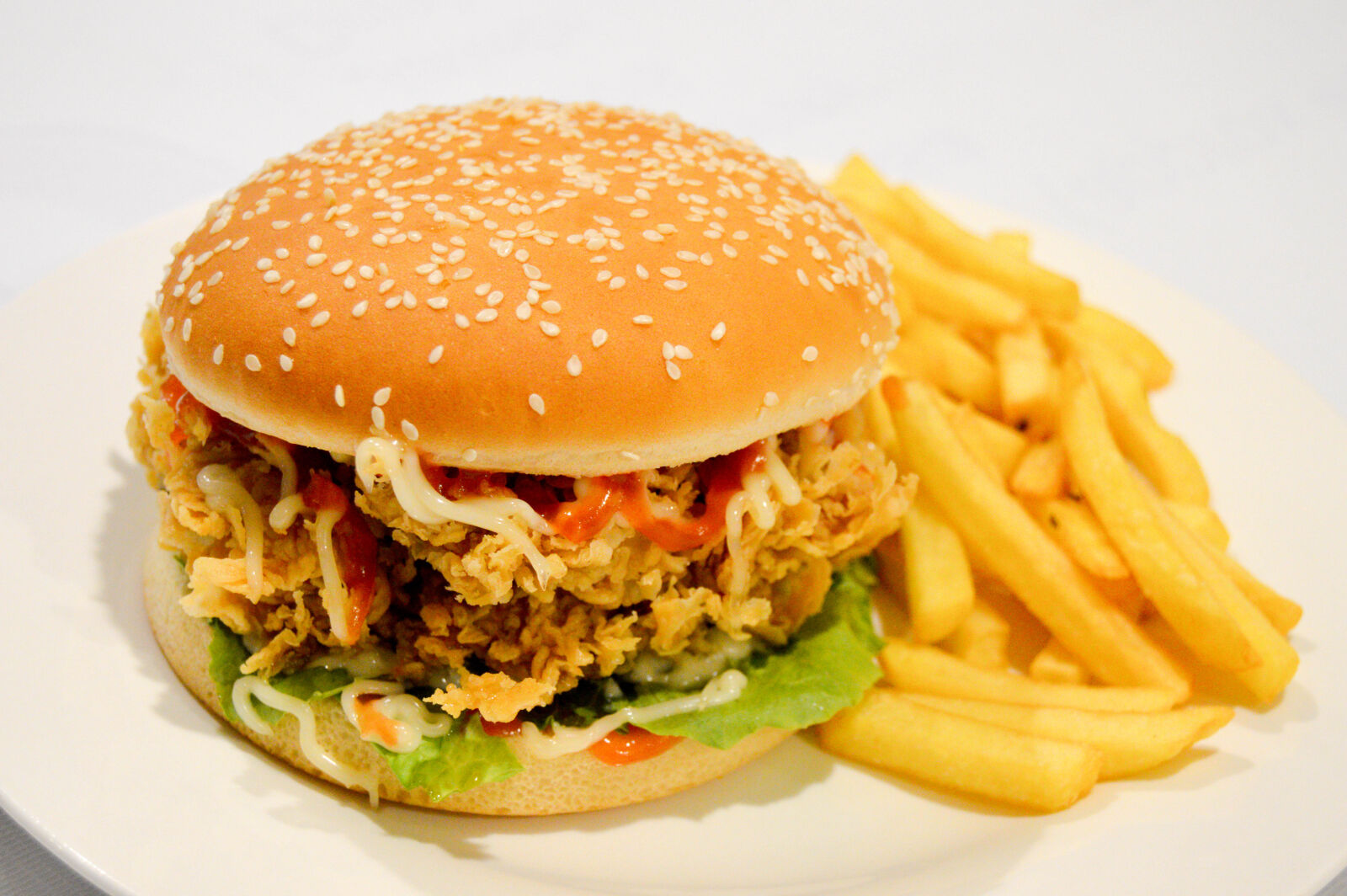 Nikon D3200 sample photo. Burger, burger, fries, chicken photography