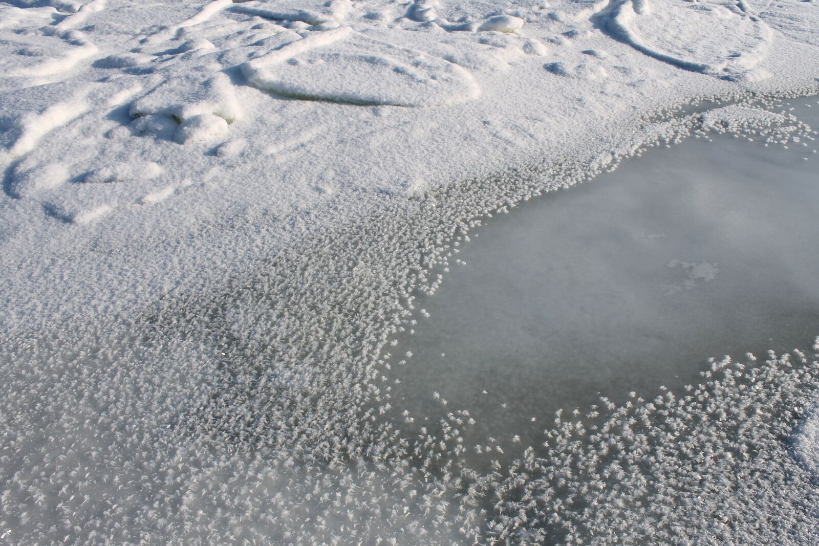 Canon EOS 1100D (EOS Rebel T3 / EOS Kiss X50) sample photo. Snow, snowflakes, ice floes photography