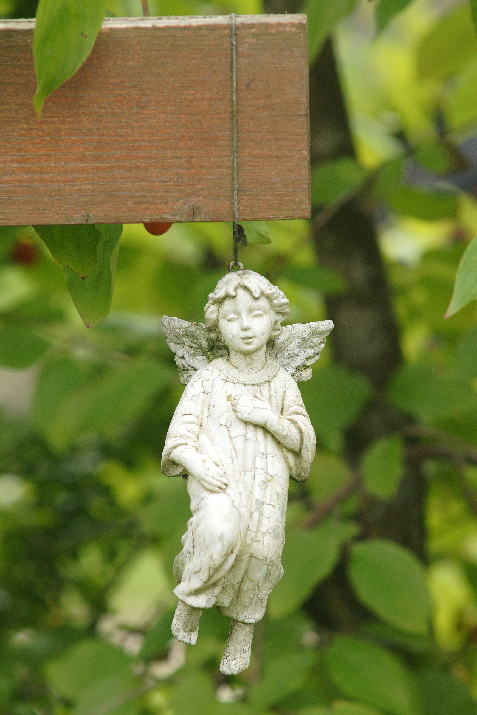 Sony Alpha DSLR-A700 sample photo. Angel, angel figure, contemplative photography