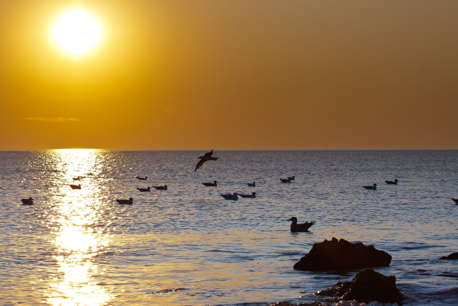 Canon EOS 50D sample photo. Sunset, sea, north sea photography