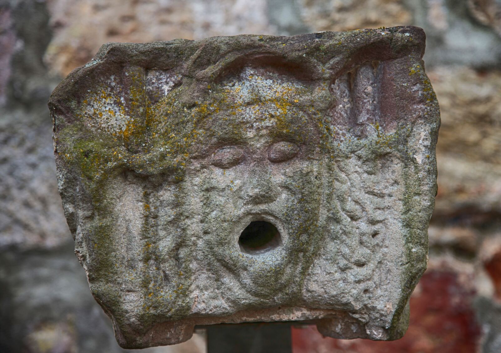 Canon EOS 5D Mark II sample photo. Lion, lion head, sand photography