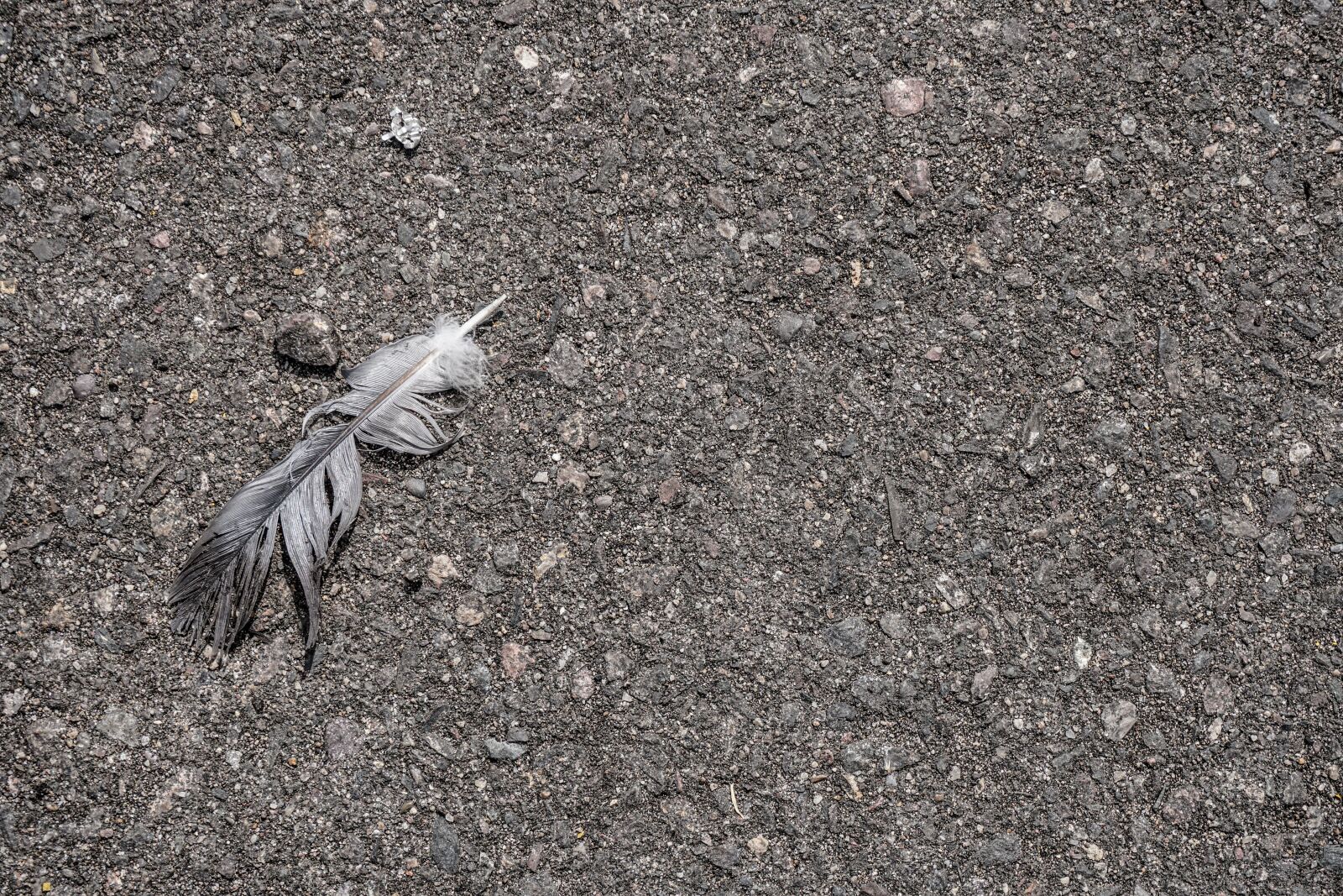Sony a6500 sample photo. Background, texture, cement photography