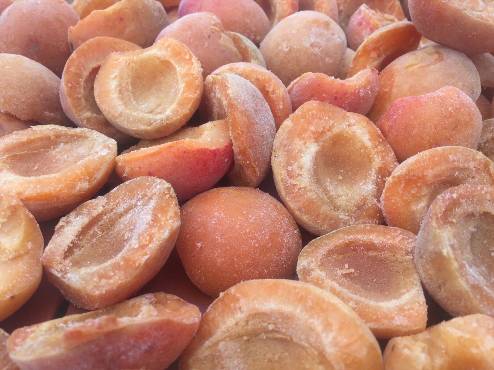 Apple iPhone 6 sample photo. Apricots, fruit photography