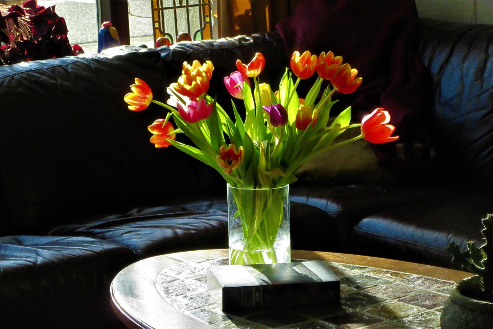 Canon PowerShot SX610 HS sample photo. Room, tulips, at home photography