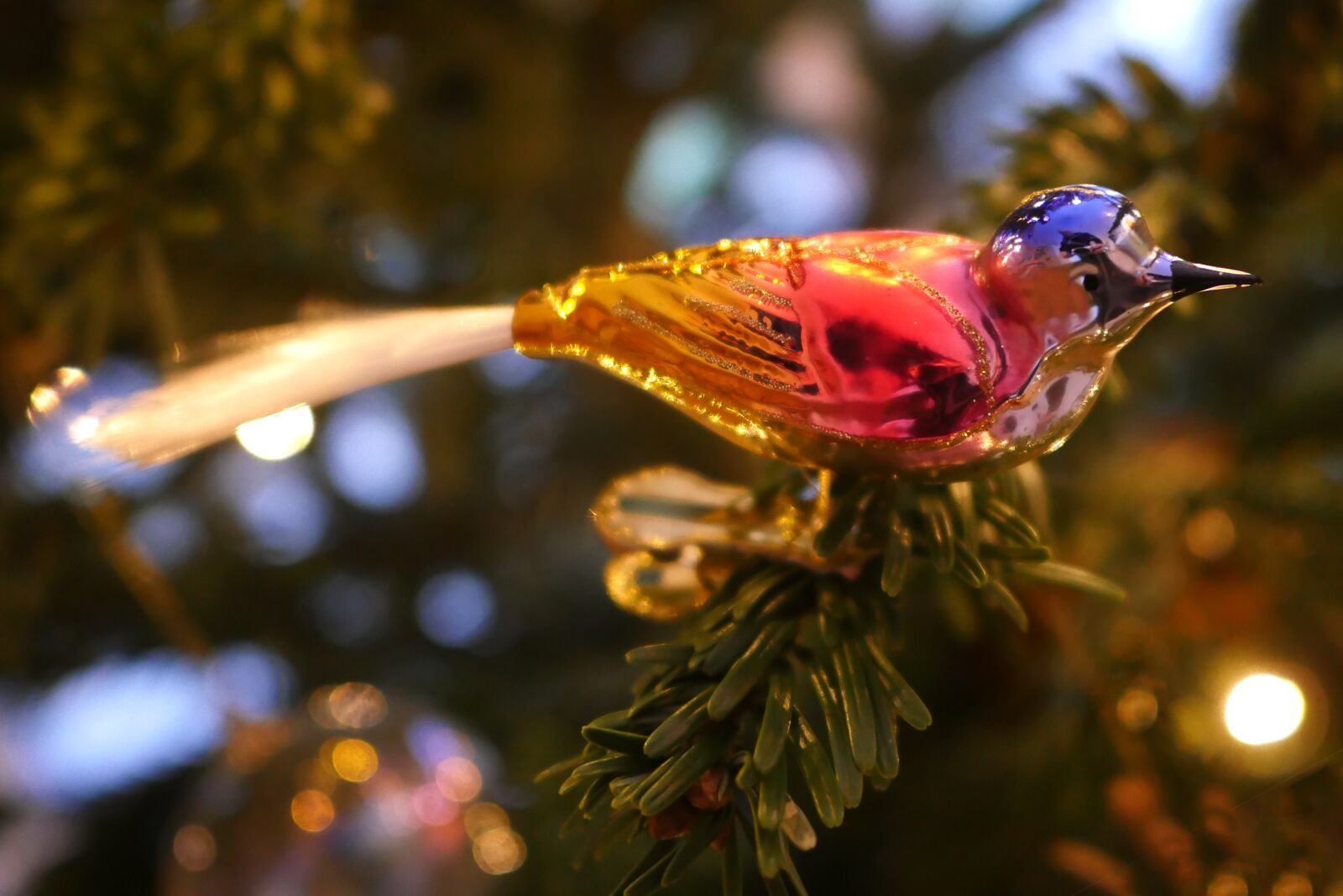 Panasonic Lumix DMC-GX8 sample photo. Christmas decorations, bird, christmas photography