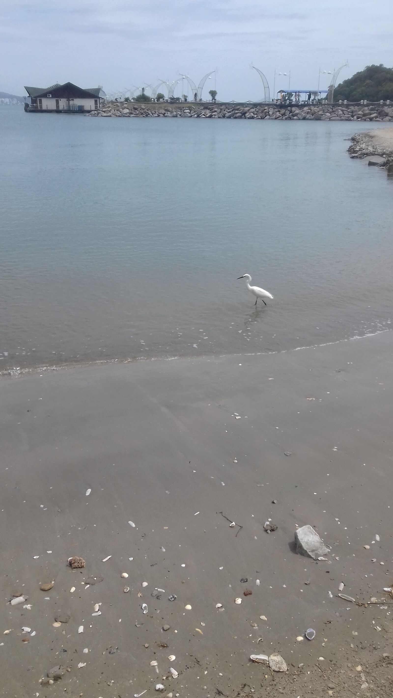 Samsung Galaxy Grand Prime sample photo. Sea, landscape, beach photography