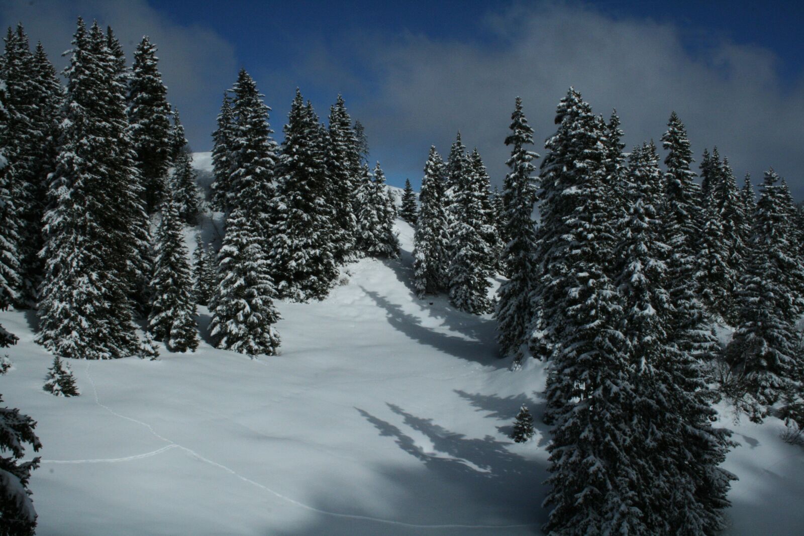 Canon EOS 400D (EOS Digital Rebel XTi / EOS Kiss Digital X) sample photo. French-speaking switzerland, snow, trees photography