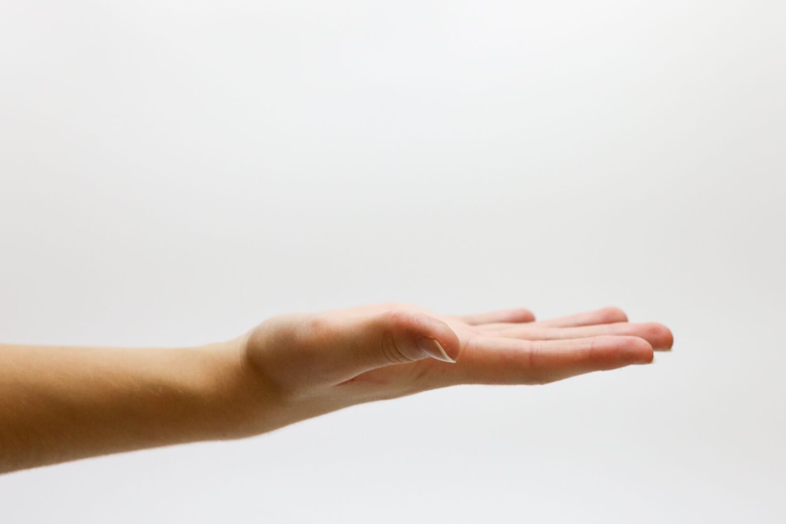 Canon EOS 6D + Canon EF 50mm F1.4 USM sample photo. Hand, asking, offering photography
