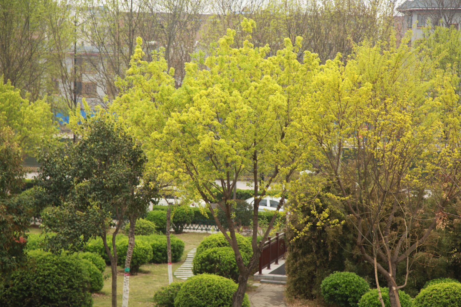 Canon EOS 5D Mark II sample photo. City park, chinese new photography