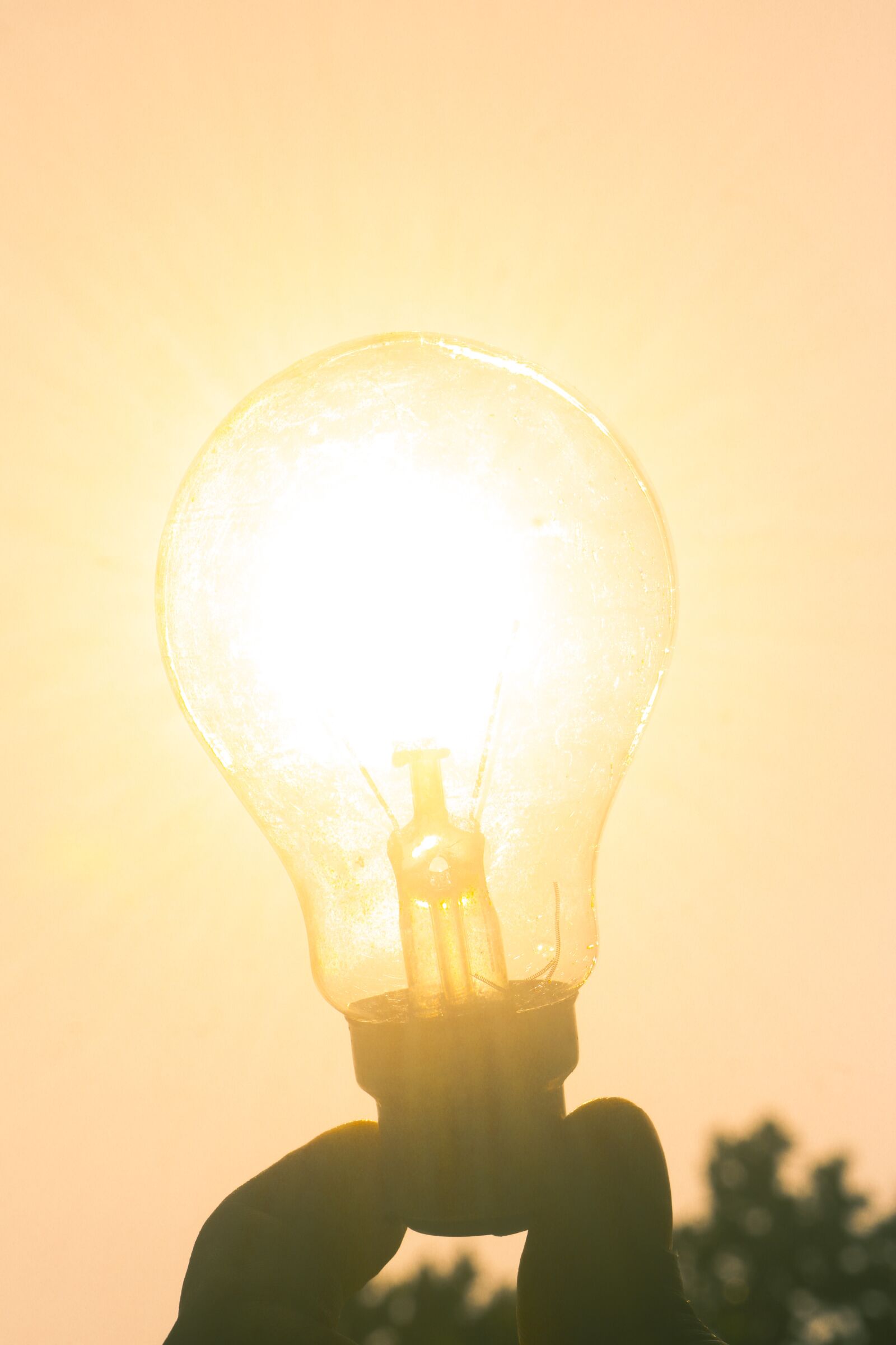 Canon EOS 750D (EOS Rebel T6i / EOS Kiss X8i) sample photo. Free energy, idea, invention photography