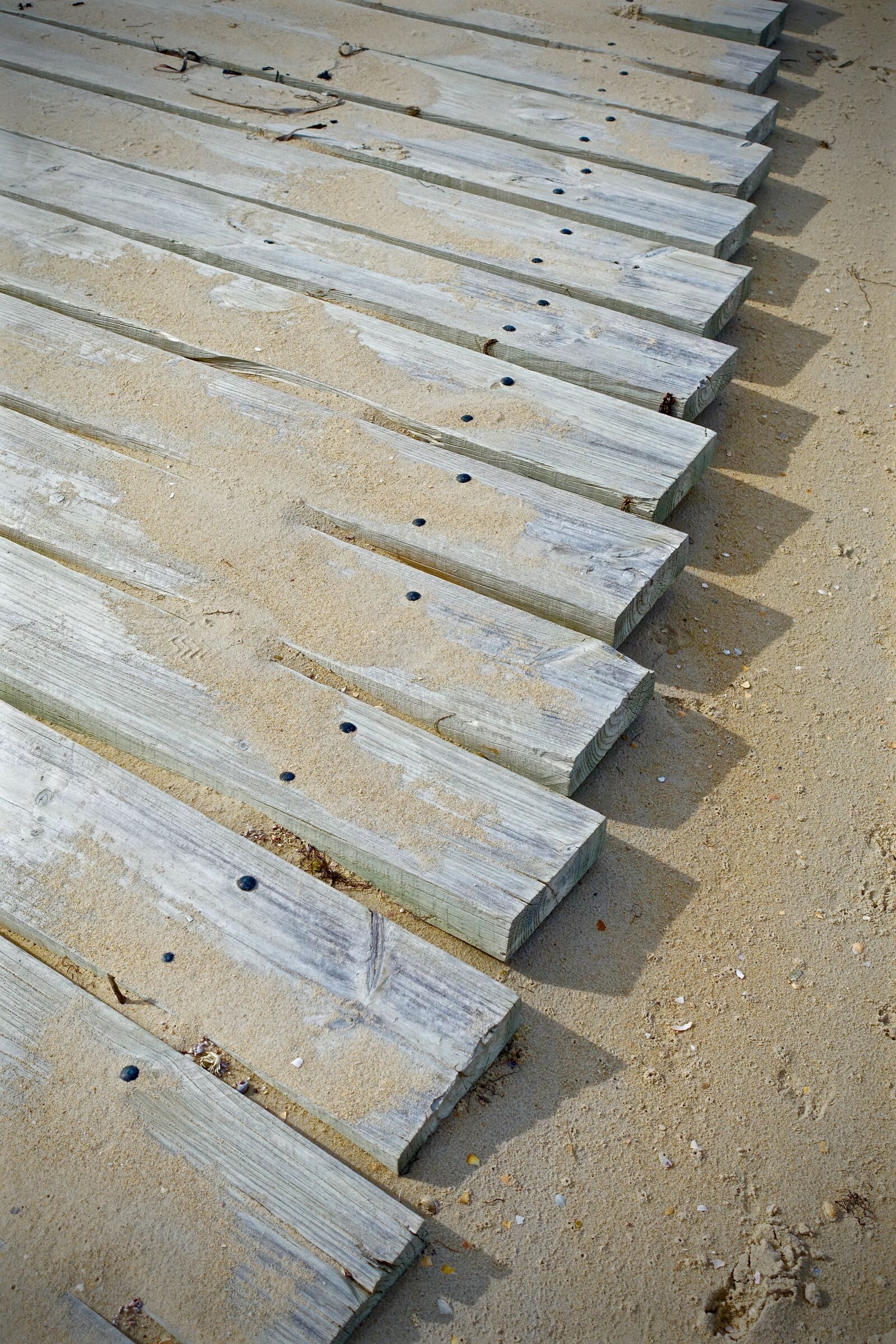 Sony Cyber-shot DSC-RX100 III sample photo. Path, planks, wooden photography