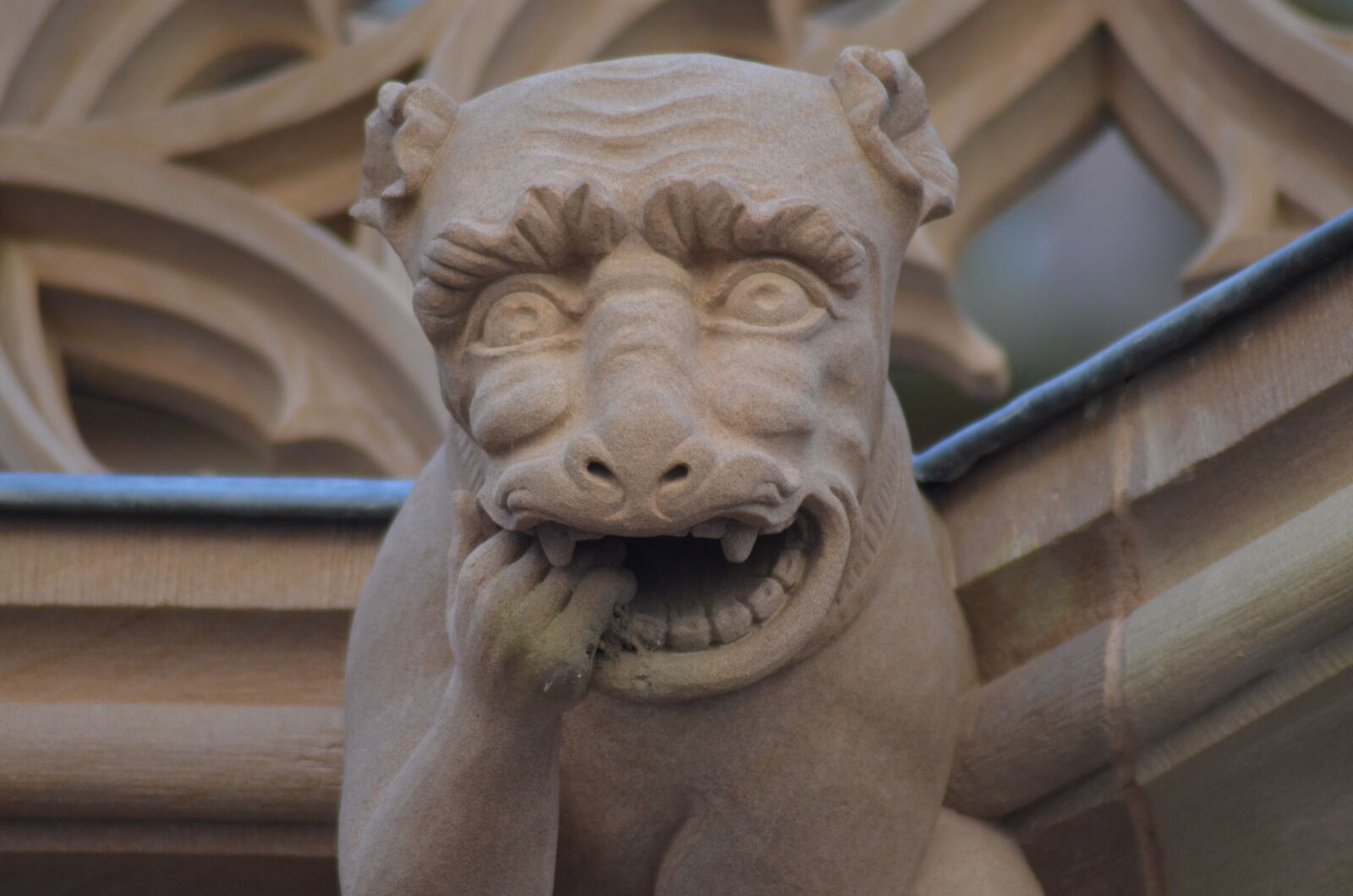 Nikon D5100 sample photo. Gargoyle, cathedral, strasbourg photography
