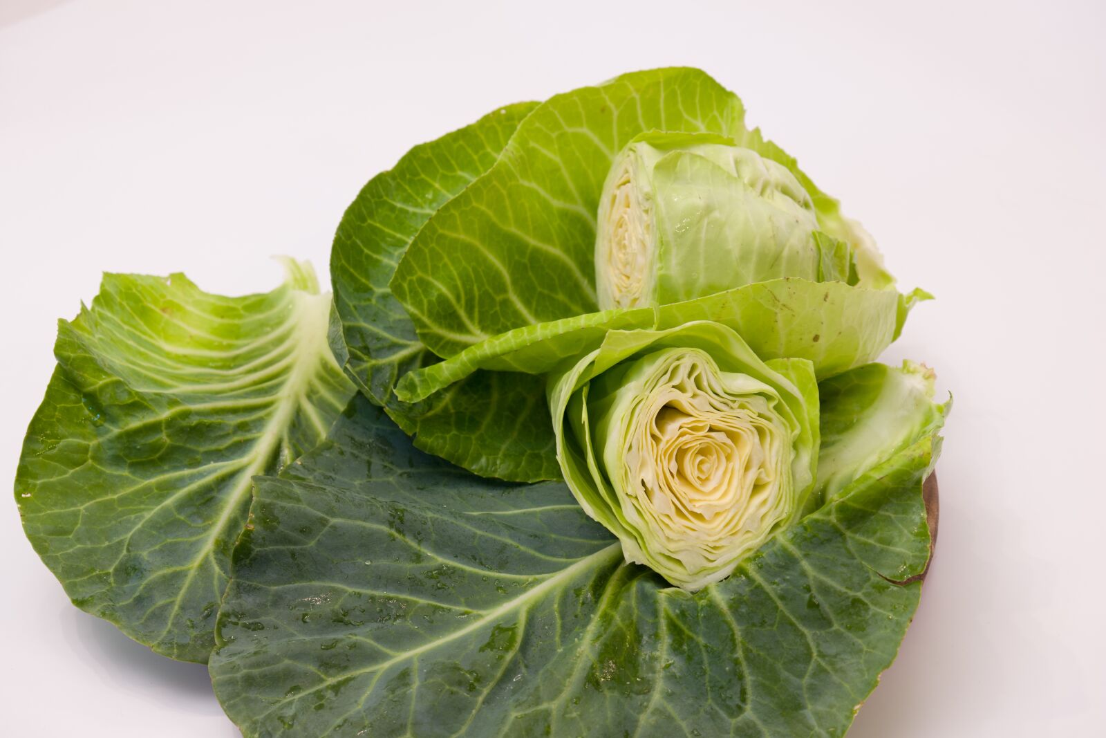 Leica CL sample photo. Pointed cabbage, kohl, vegetables photography