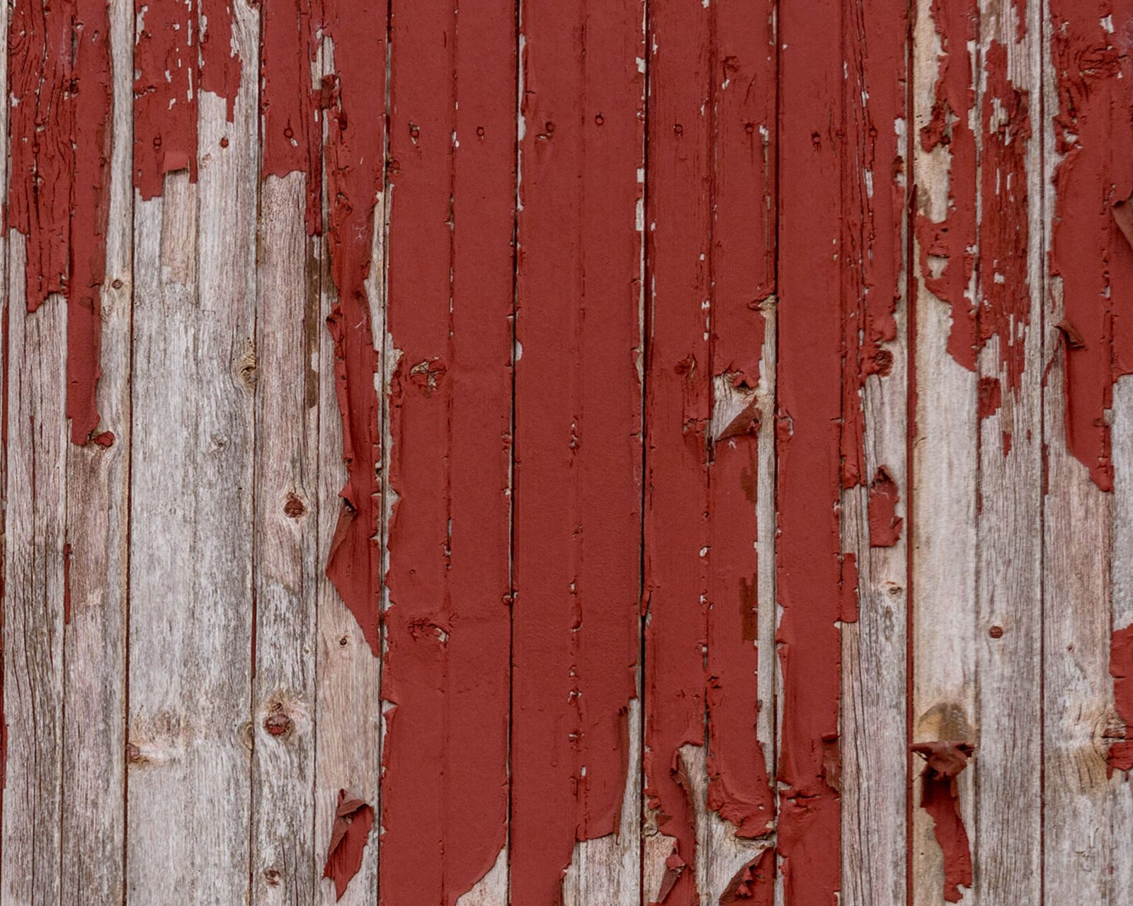 Canon EOS 750D (EOS Rebel T6i / EOS Kiss X8i) + Canon EF-S 55-250mm F4-5.6 IS STM sample photo. Barn wood, texture, peeling photography