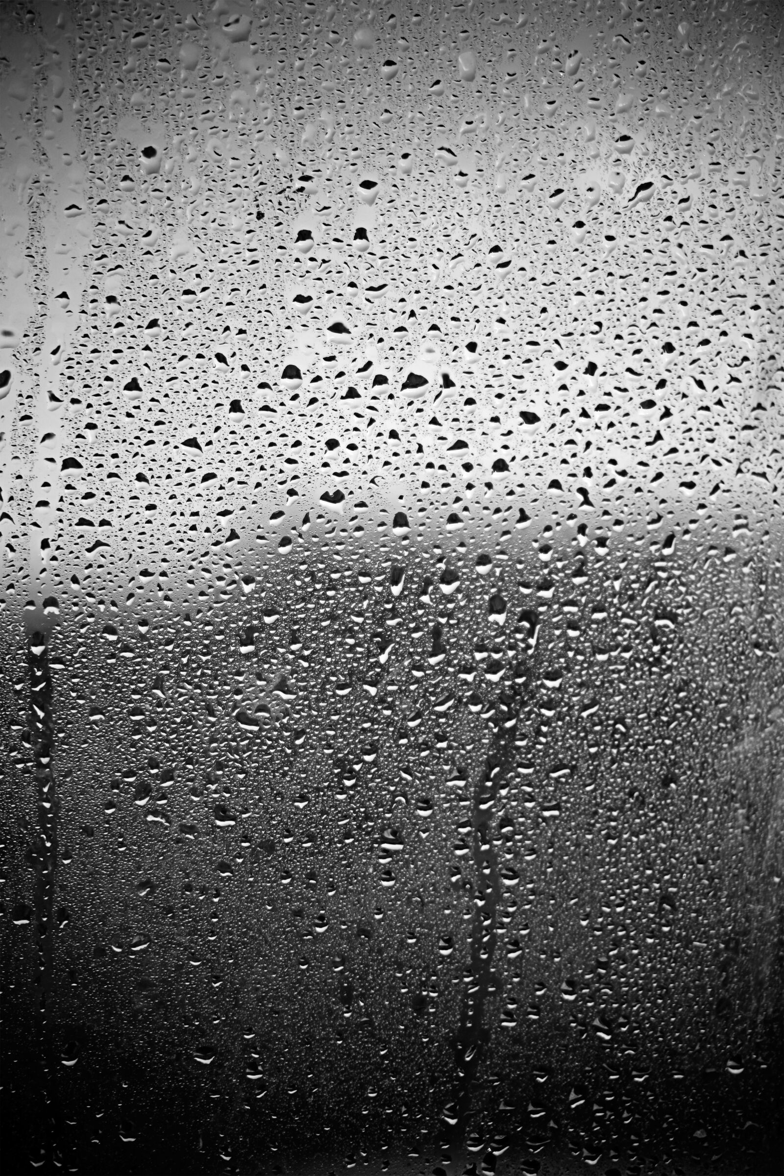 Canon EOS 5D sample photo. Rain, drop, window photography