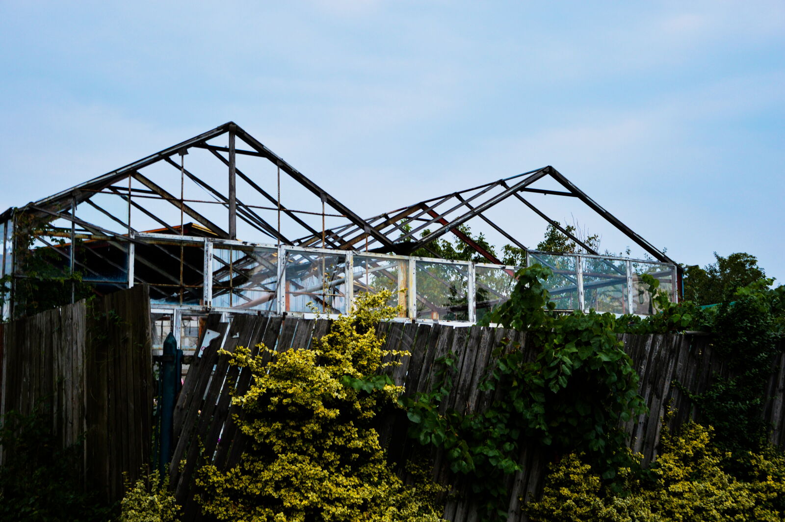 Nikon D3200 sample photo