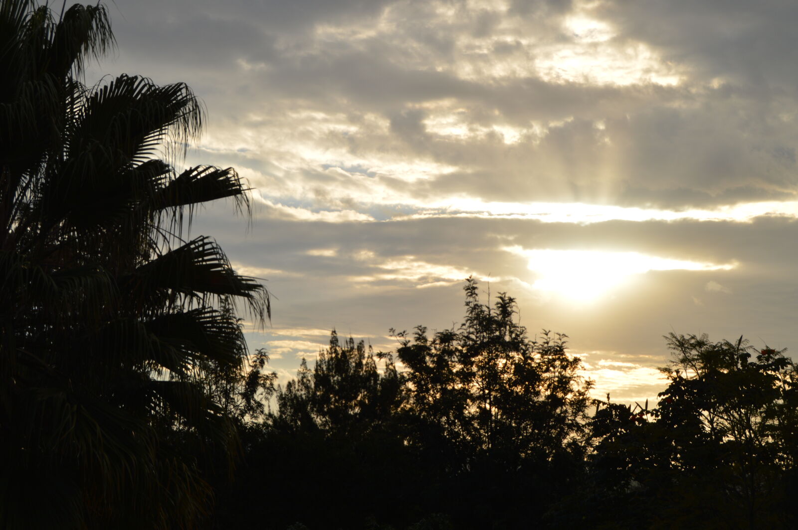 Nikon D3200 sample photo. Nature, photography photography