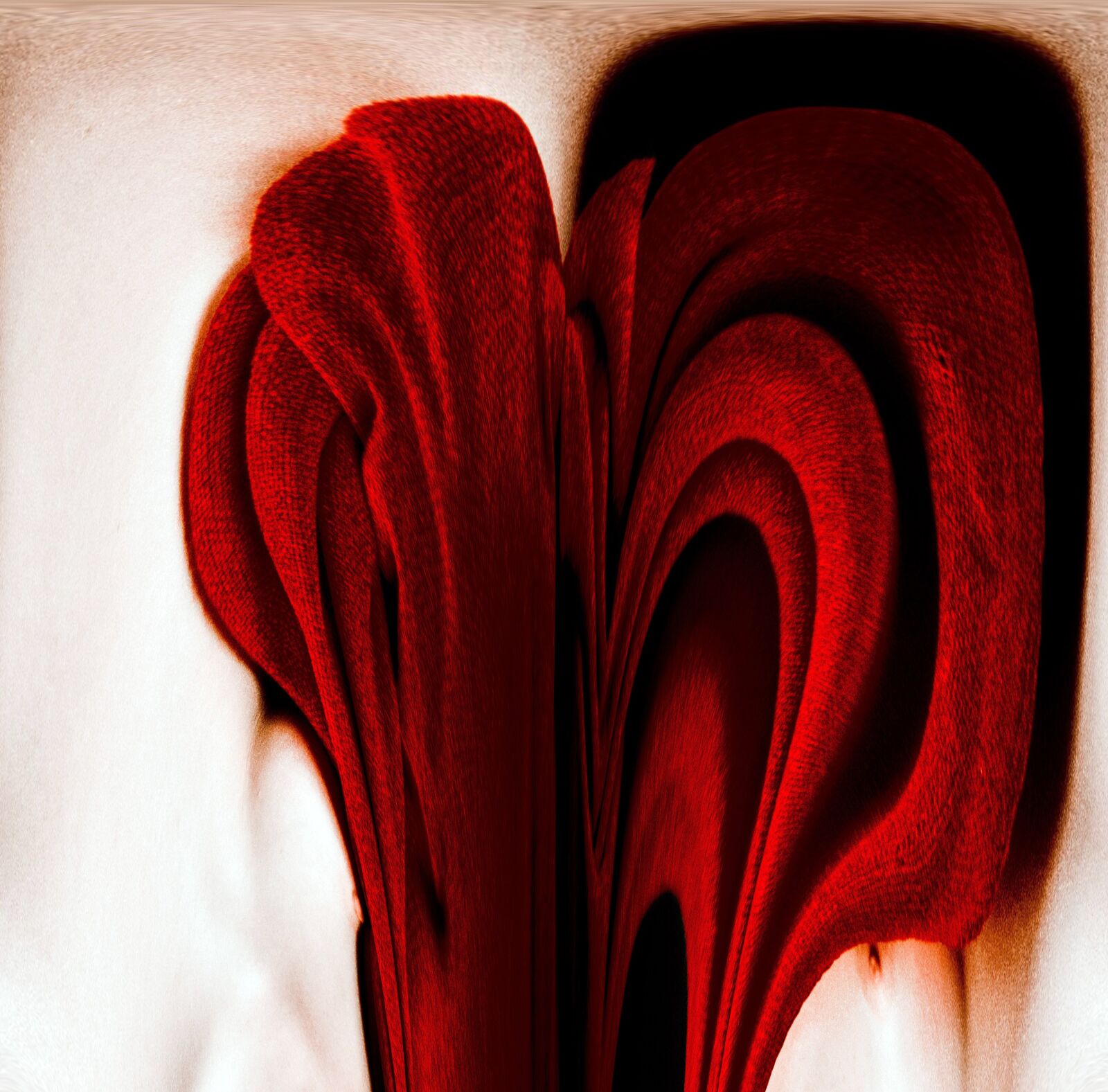 Nikon D5100 sample photo. Art, digital art, fabric photography