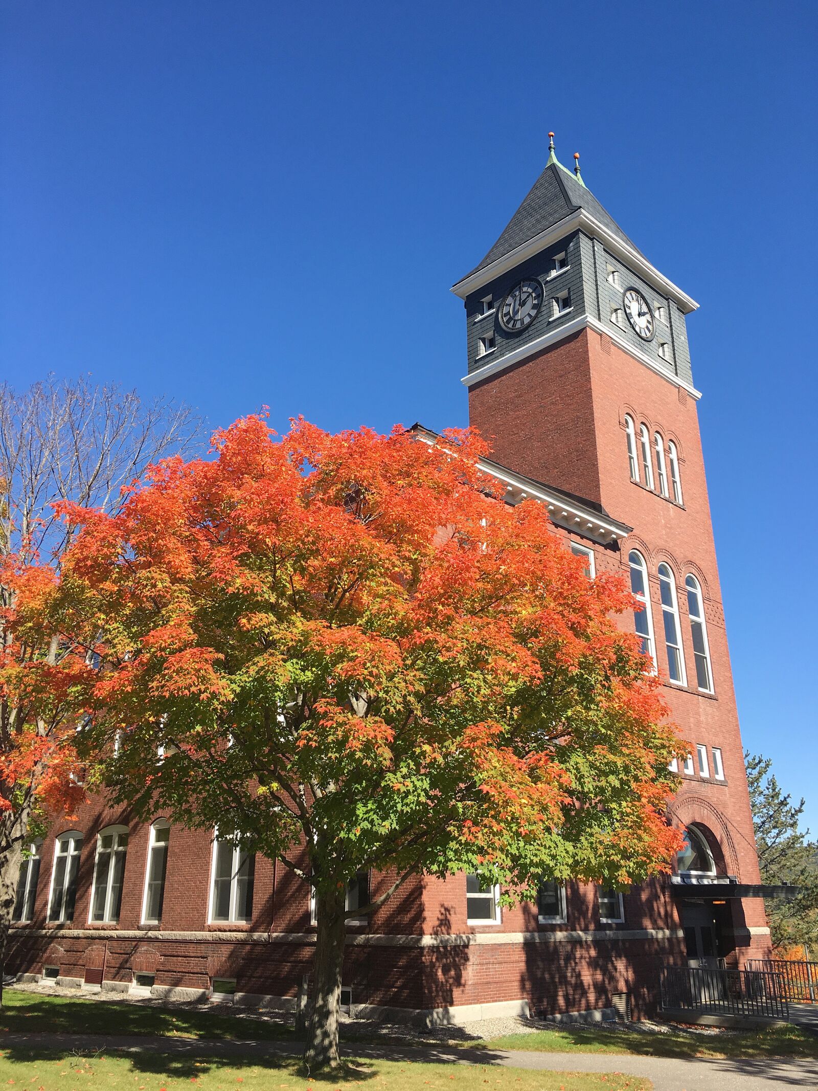 Apple iPhone 6s sample photo. Himmel, tree, autumn photography
