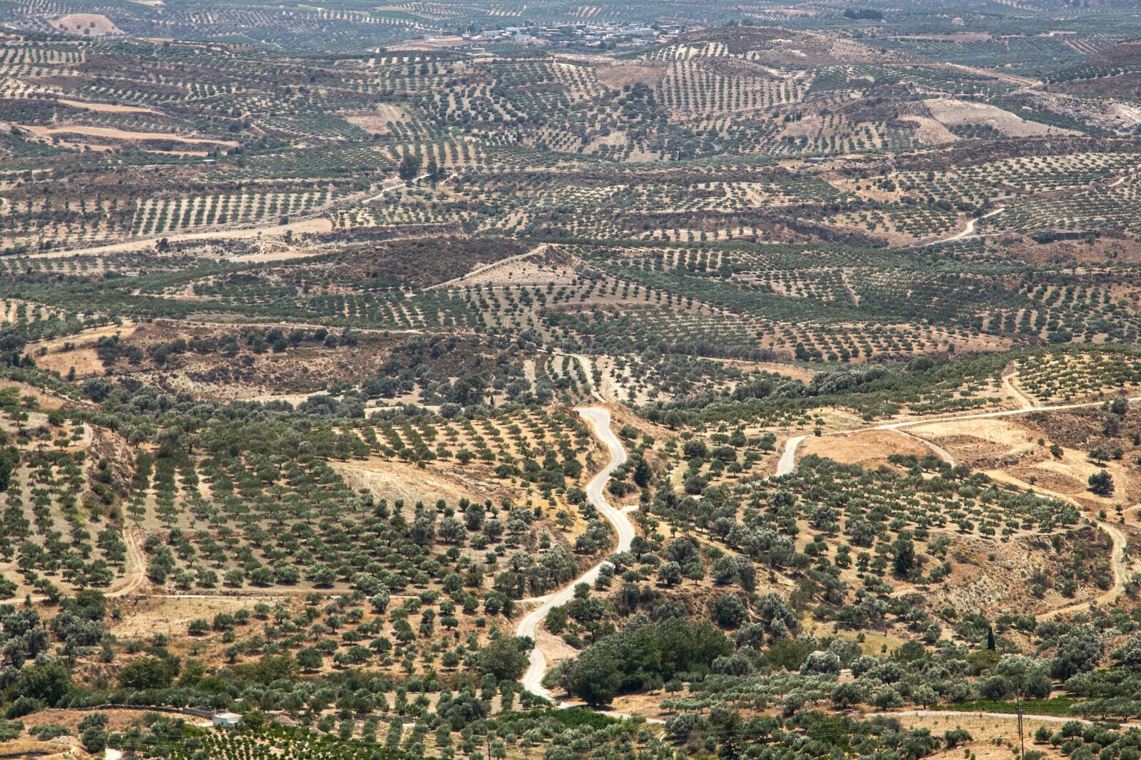 Canon EOS 6D + Canon EF 24-105mm F4L IS USM sample photo. Landscape, land, crete photography