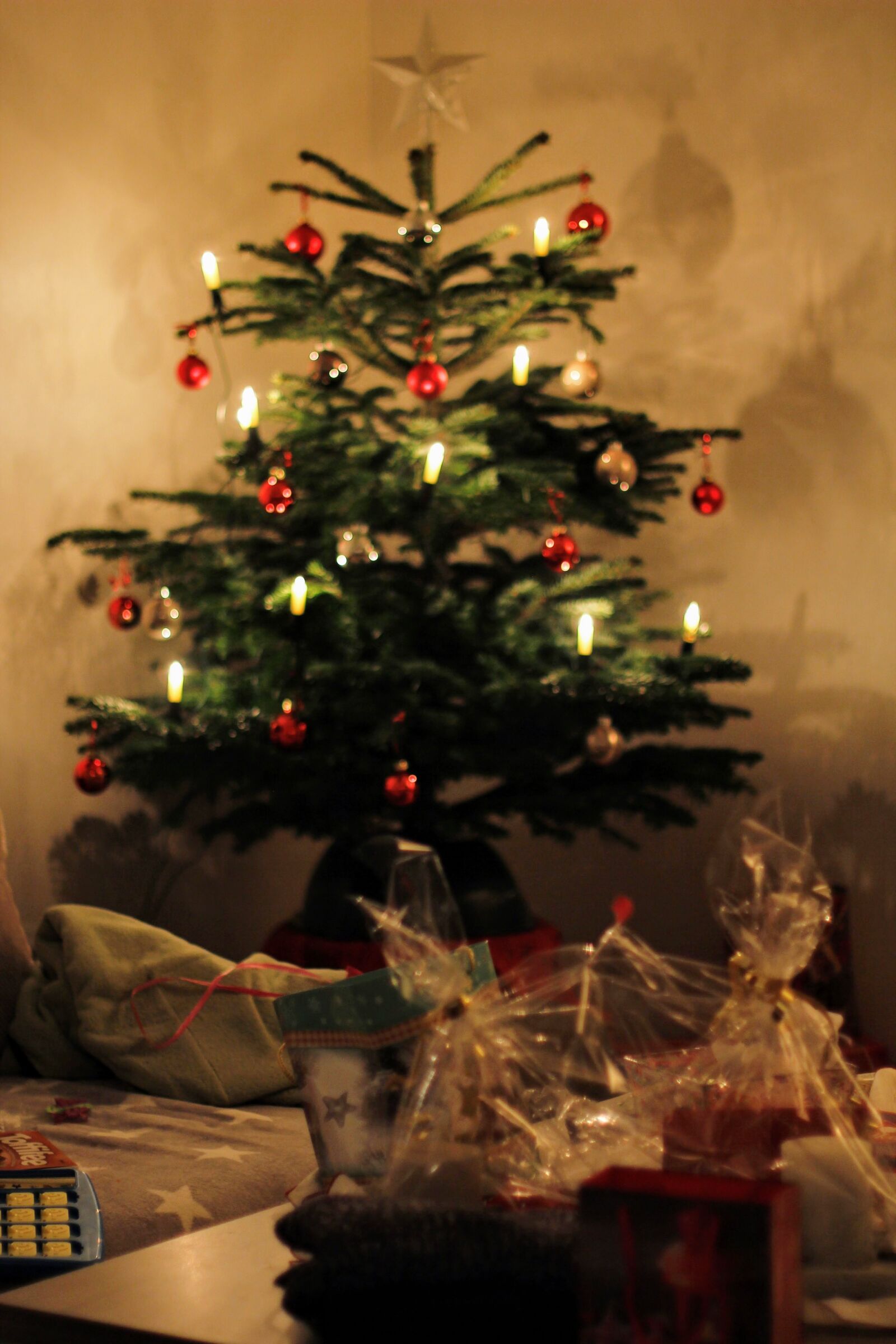Canon EOS 60D + Canon EF 50mm F1.4 USM sample photo. Christmas, christmas decorations, festive photography