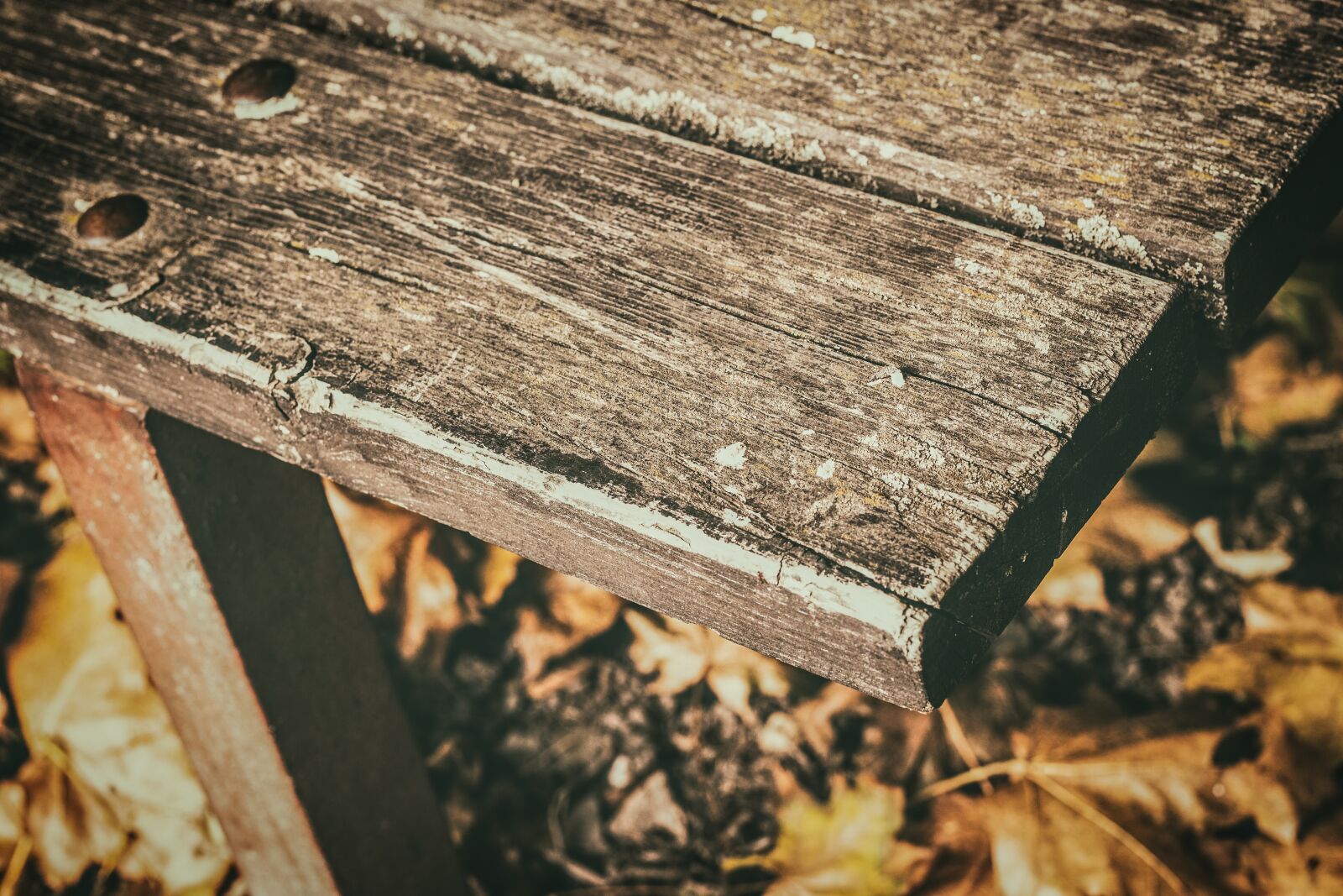 Canon EOS 700D (EOS Rebel T5i / EOS Kiss X7i) sample photo. Bench, old, session photography