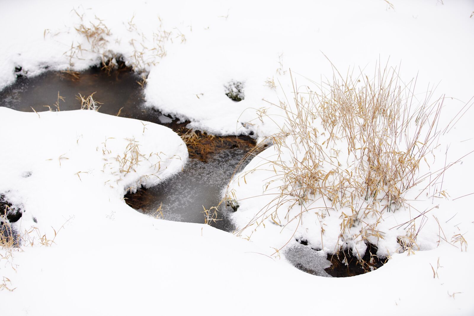 Canon EF 70-200mm F2.8L USM sample photo. Snow, white, winter photography