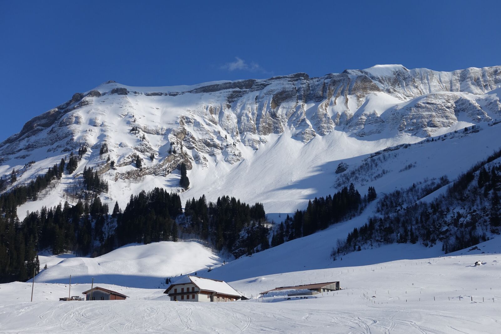 Sony Cyber-shot DSC-RX100 IV sample photo. Ski area, brienzer rothorn photography