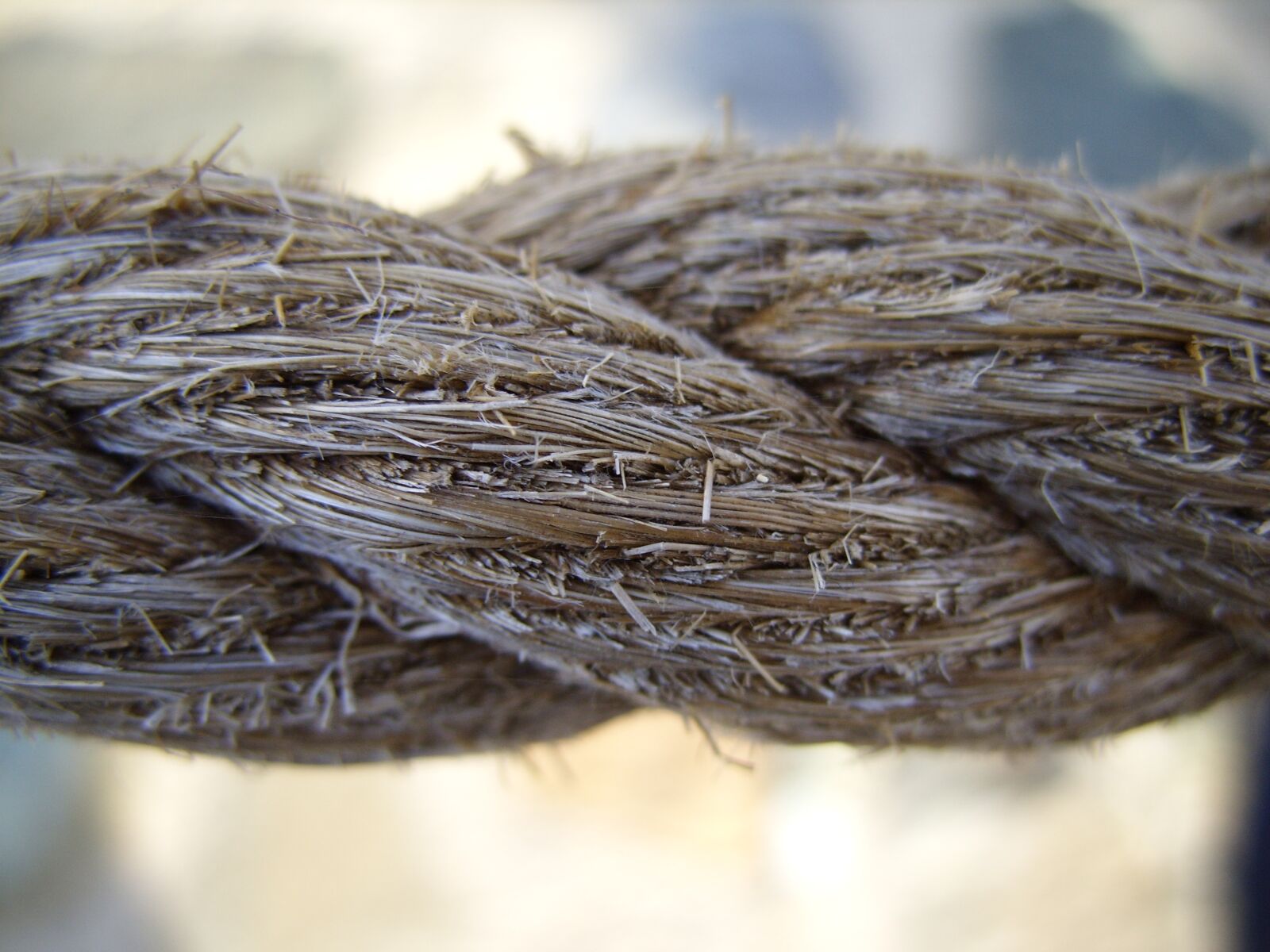 Samsung S850 sample photo. Rope, close-up, twisted photography