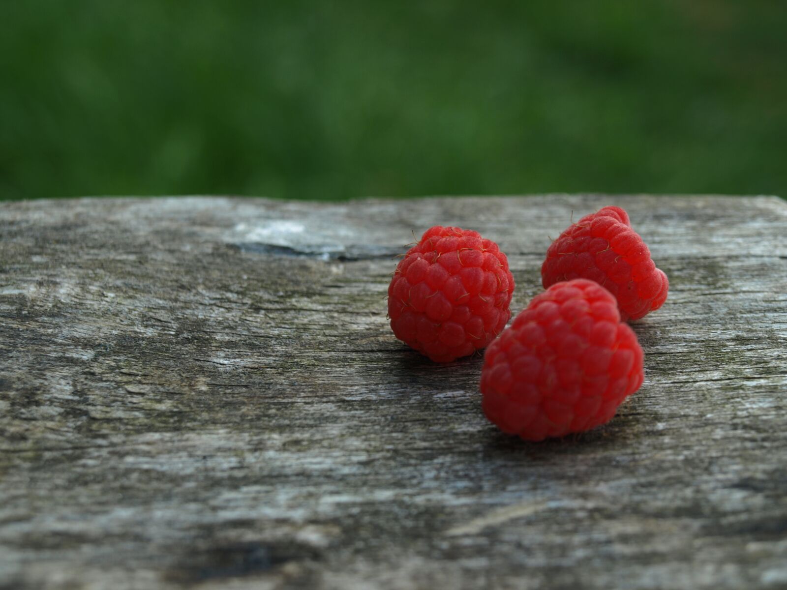Olympus E-510 (EVOLT E-510) sample photo. Raspberry, macro photography