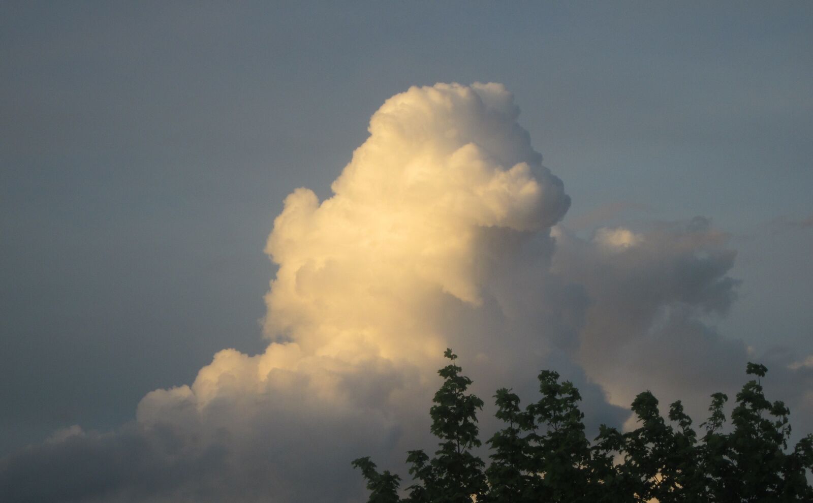Canon PowerShot A1200 sample photo. Cloud, sky, evening sky photography