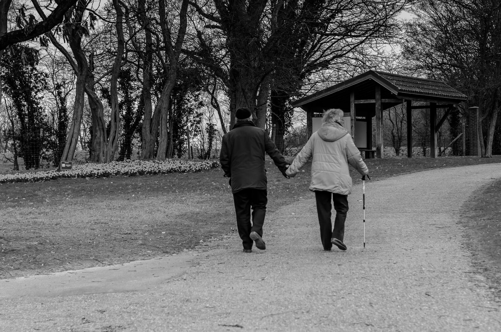 Nikon D7000 sample photo. Person, old, in love photography