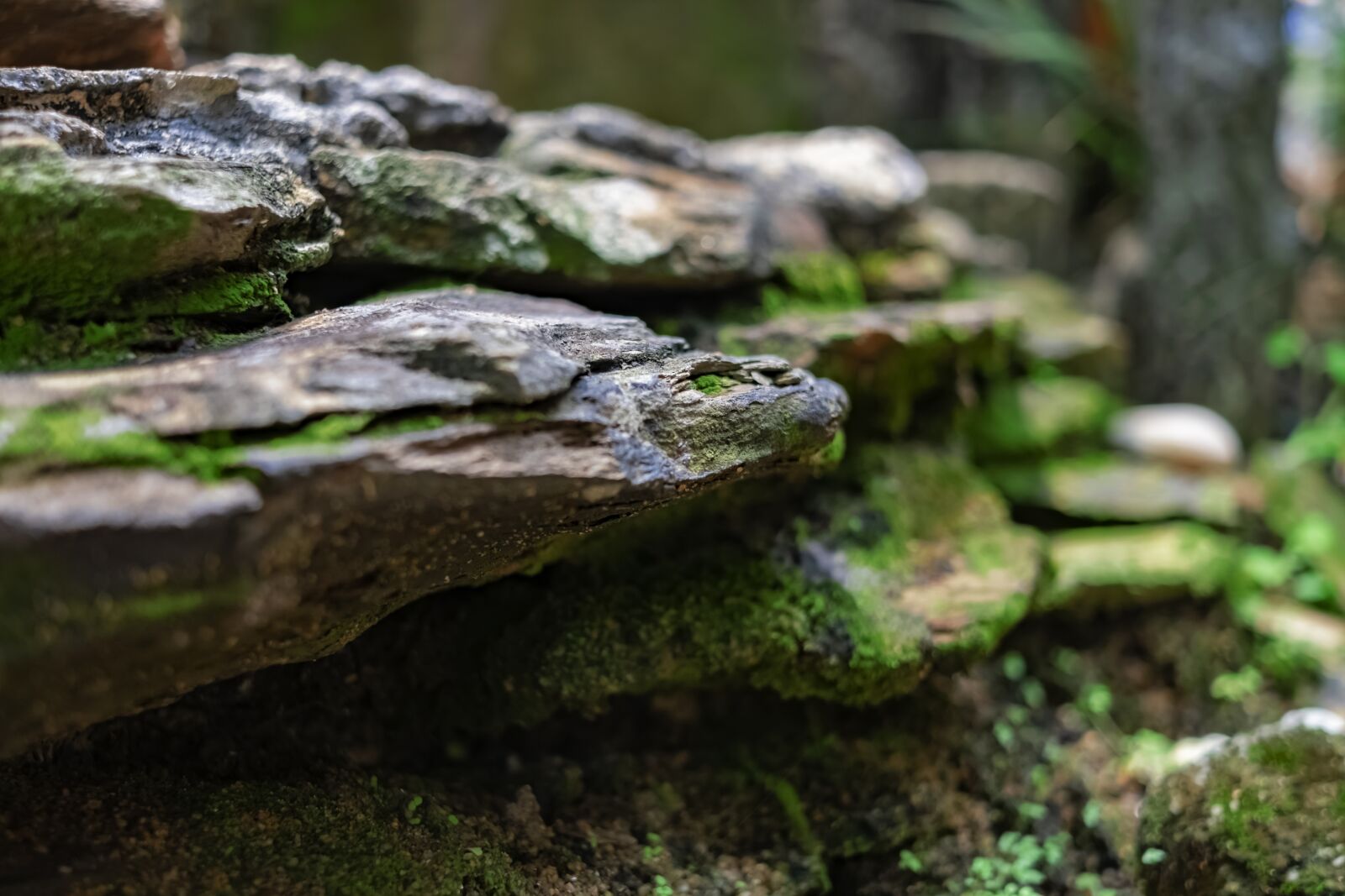 Fujifilm XF 27mm F2.8 sample photo. Rocks, rock, nature photography