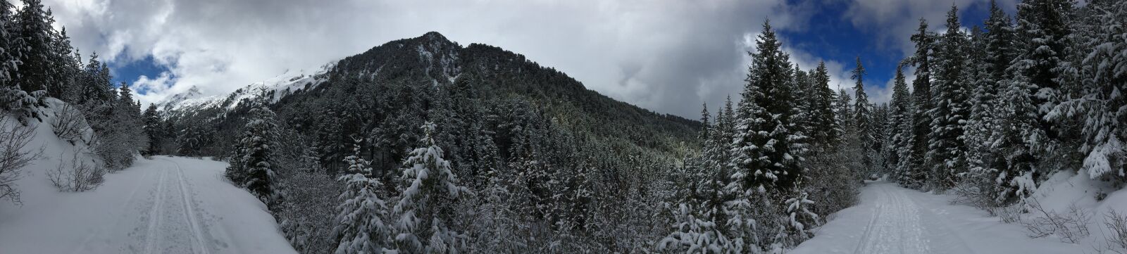 Apple iPhone 6s sample photo. Bansko, pirin, forest photography
