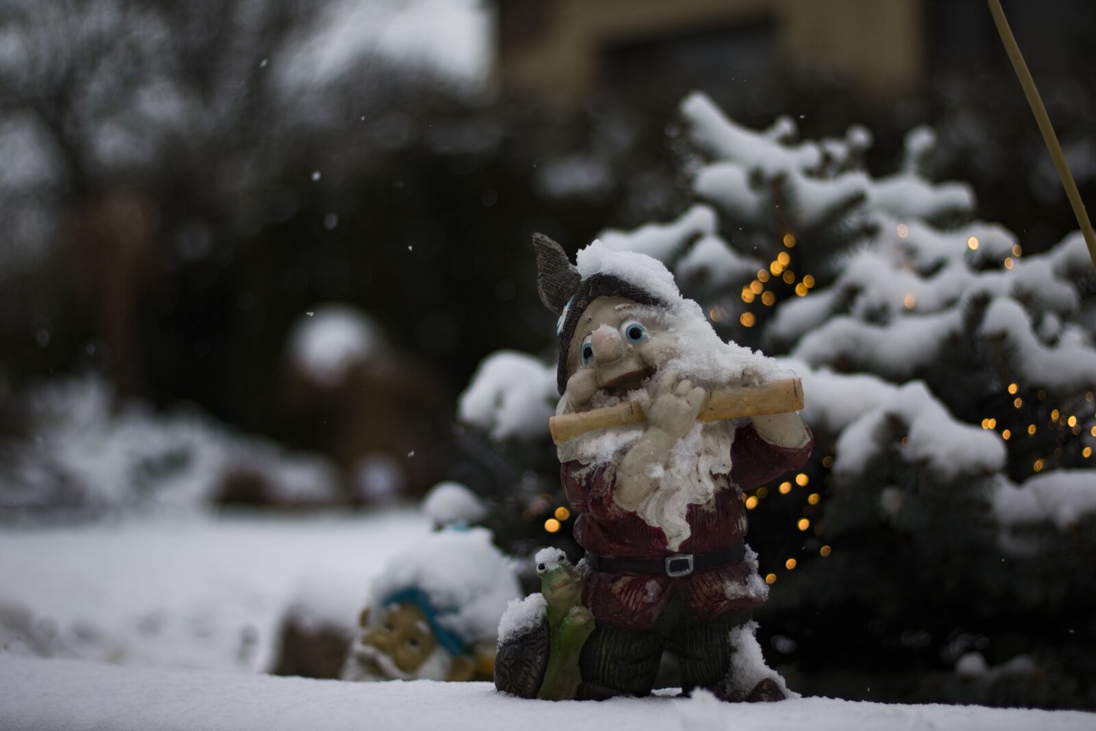 Canon EOS 760D (EOS Rebel T6s / EOS 8000D) + Canon EF 50mm F1.8 STM sample photo. Gnome, dwarf, snow photography