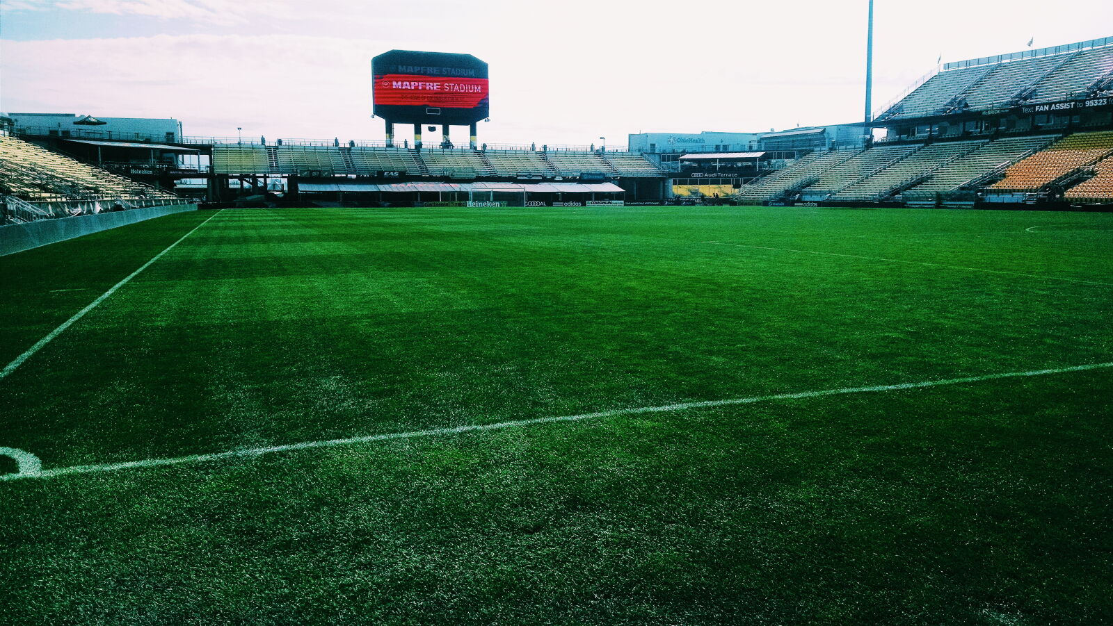 Motorola Moto X (1st Gen) sample photo. Canon, grass, nature, pretty photography