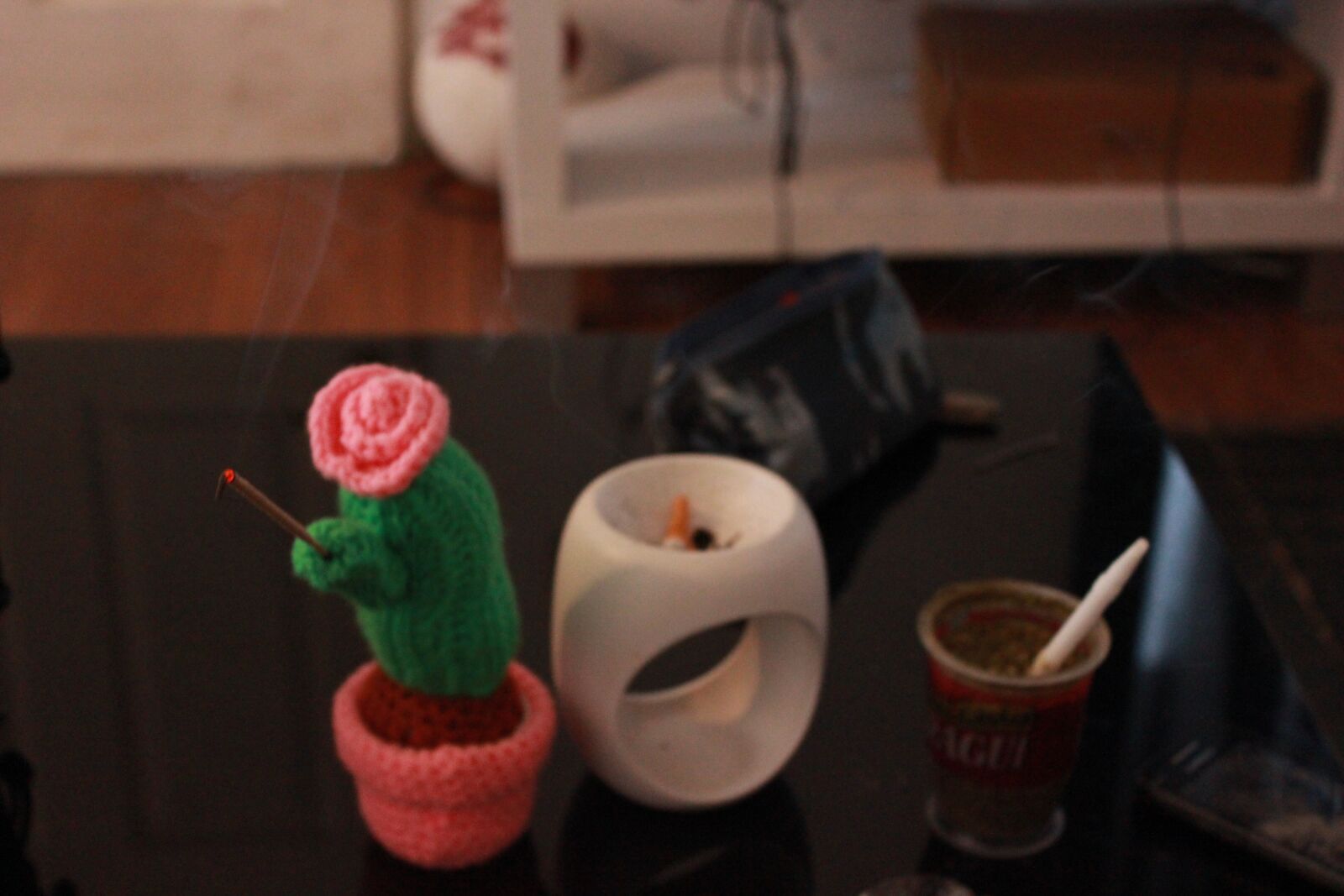 Canon EOS 600D (Rebel EOS T3i / EOS Kiss X5) sample photo. Table, mate, cactus photography