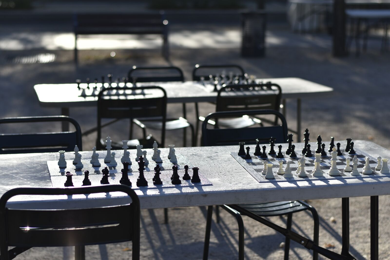 Nikon D3500 sample photo. Chess game, chess, table photography